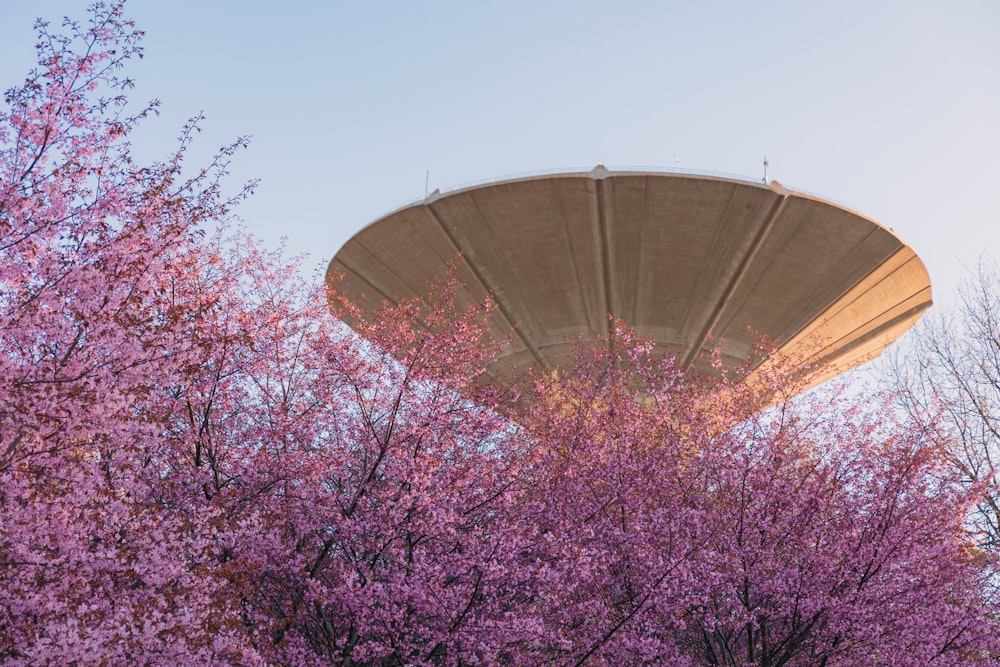 a large water tower surrounded by trees with purple flowers