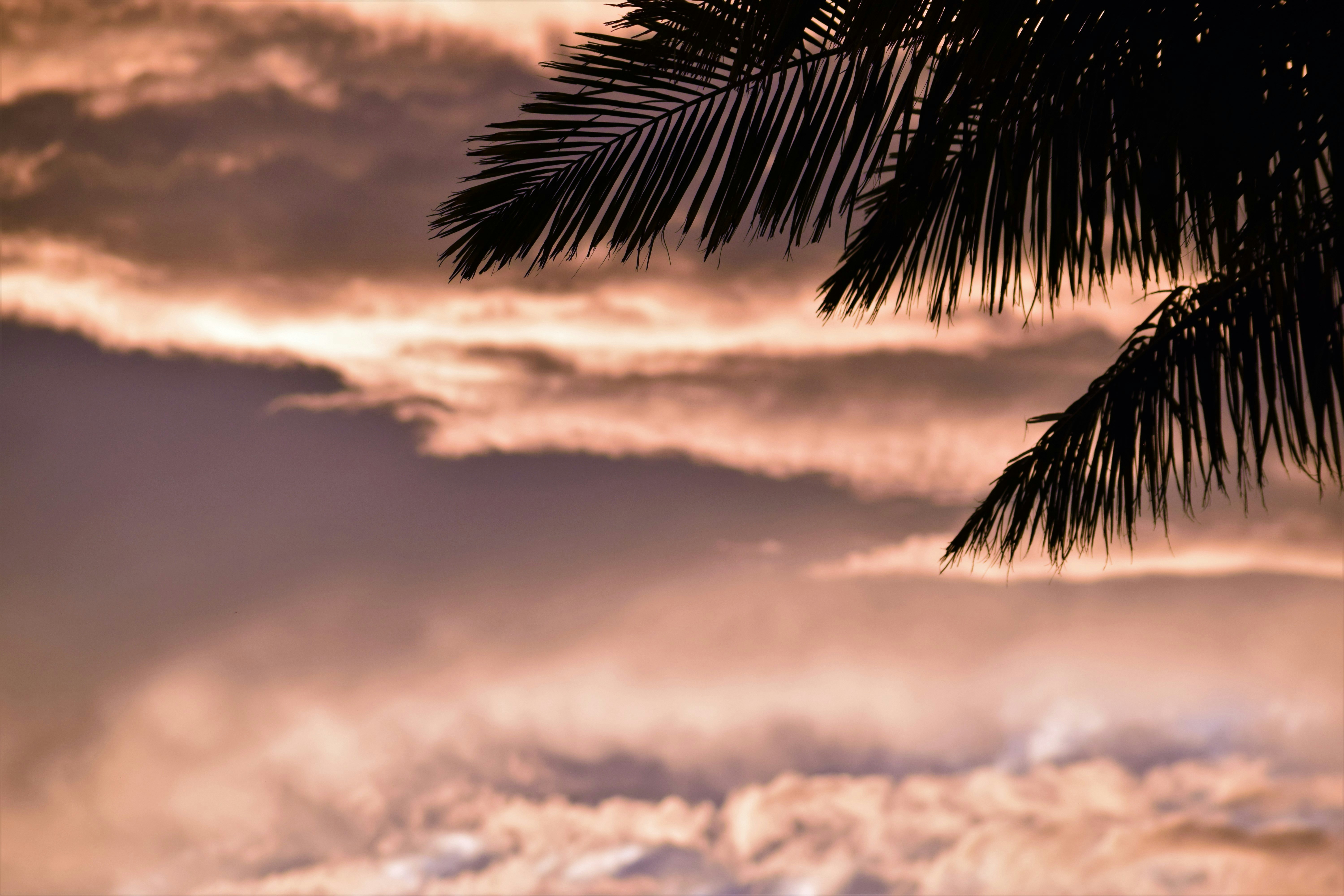 Photo by ch_photography