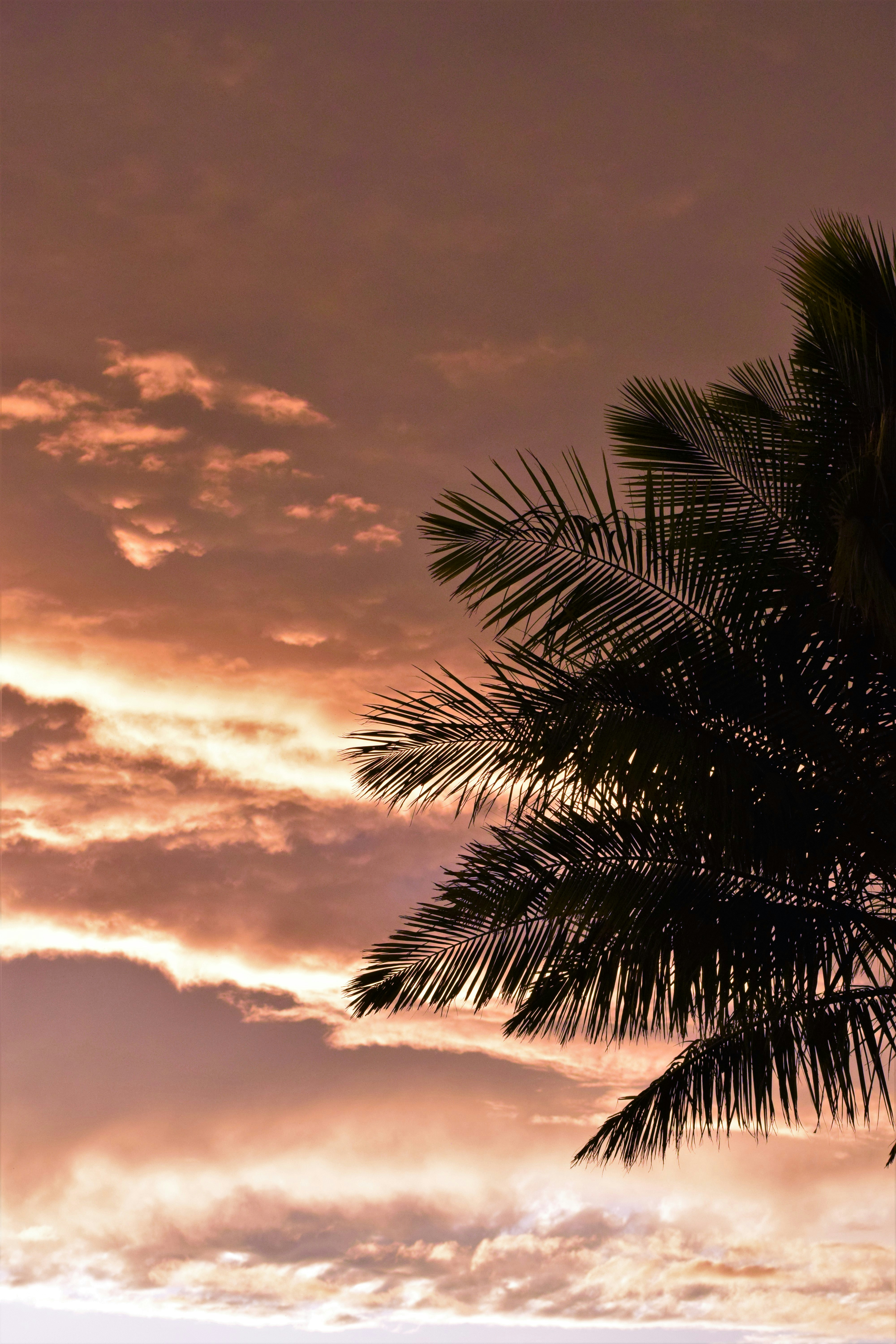 Photo by ch_photography