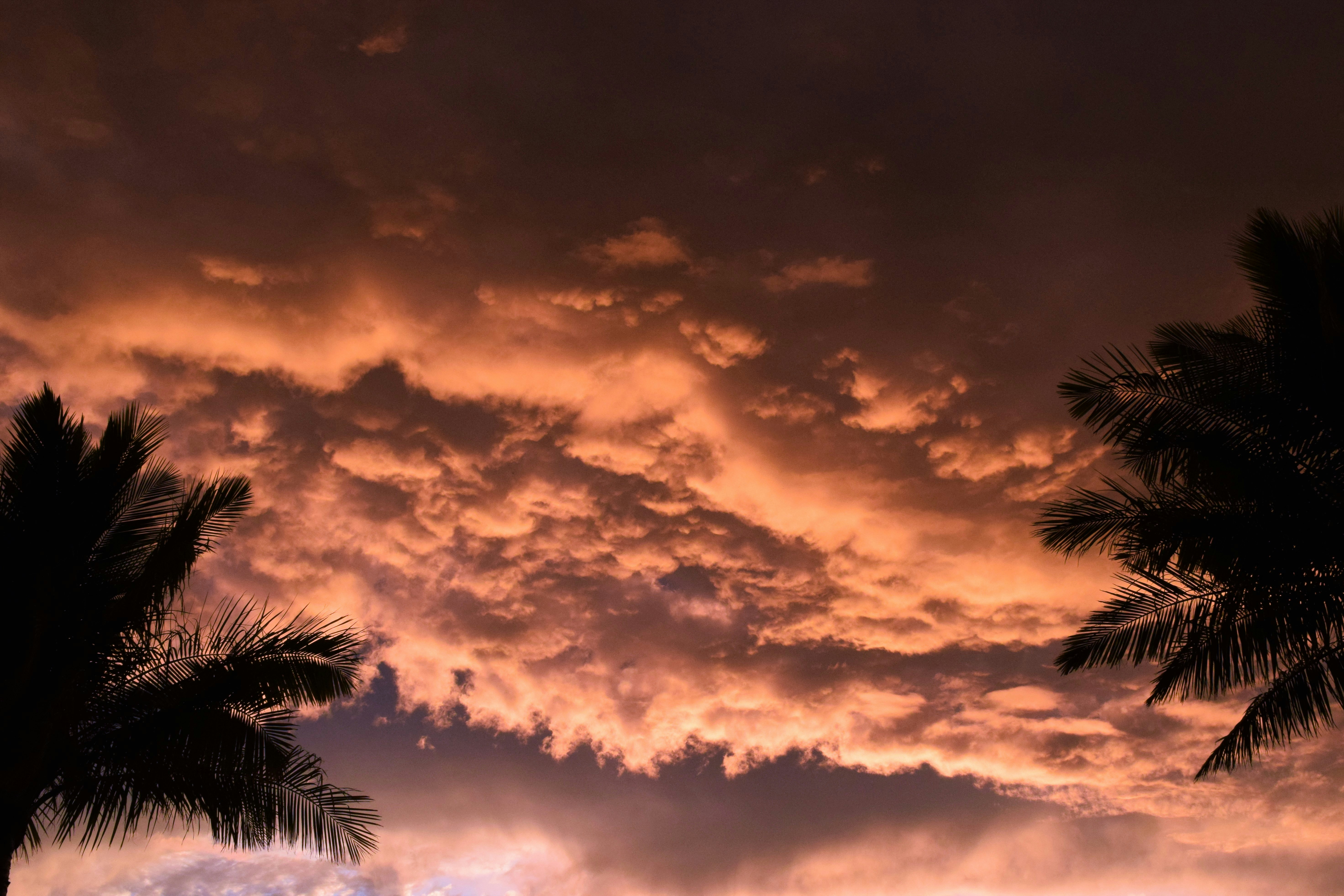 Photo by ch_photography