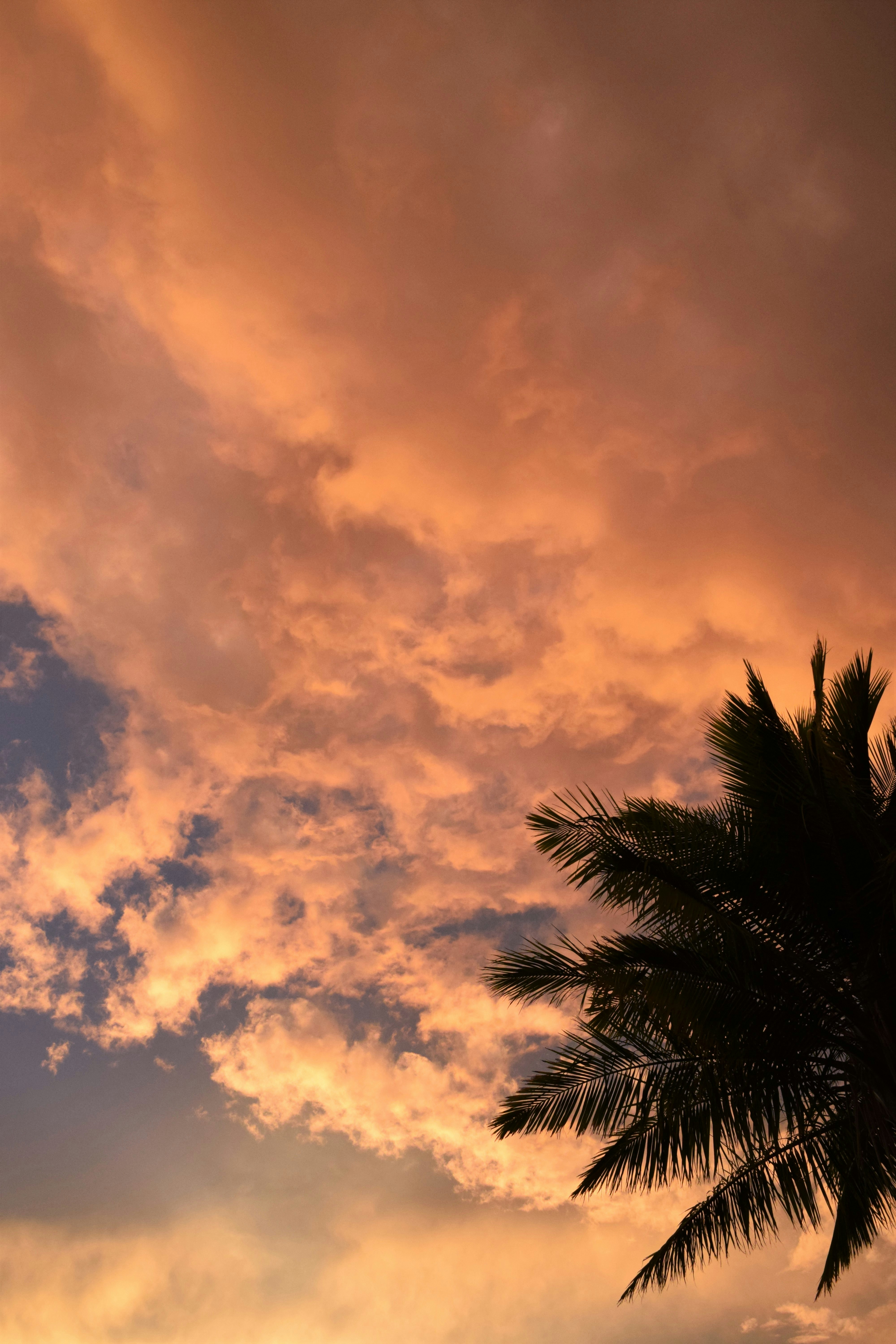 Photo by ch_photography