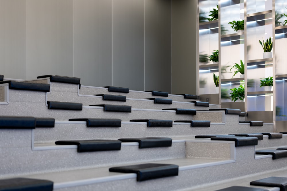 a set of stairs with plants on the wall