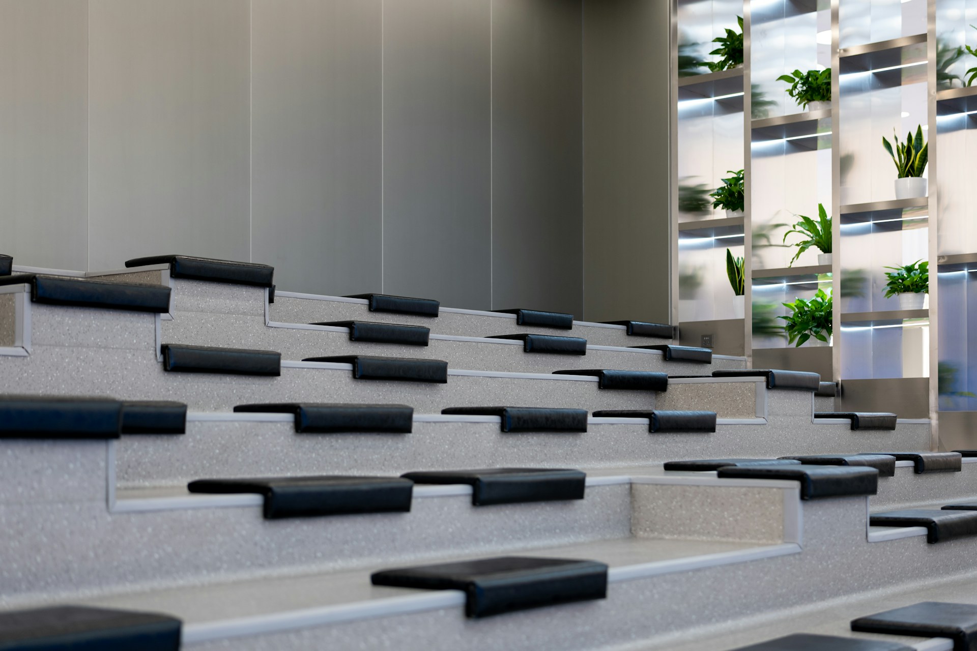 a set of stairs with plants on the wall