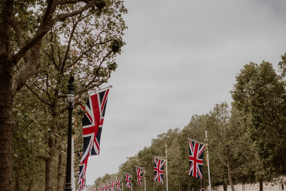 a group of flags that are on a pole