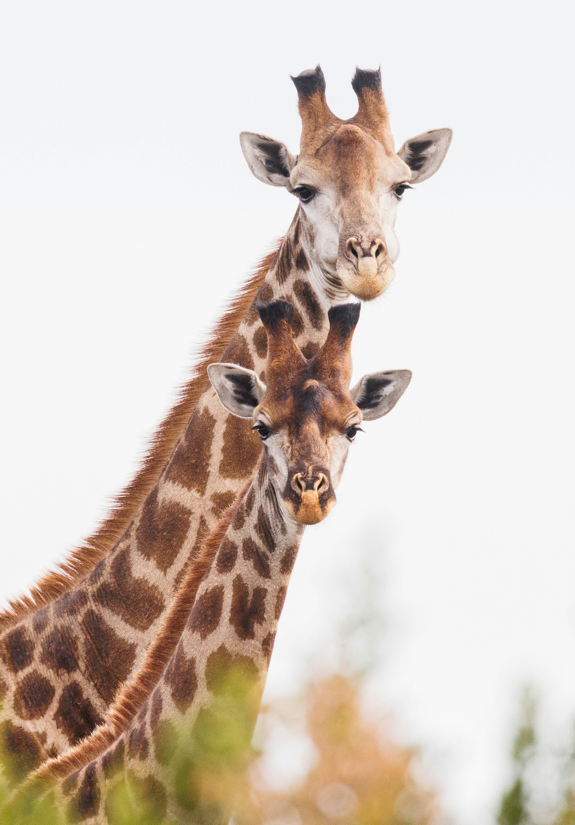 Photo by charl_durand