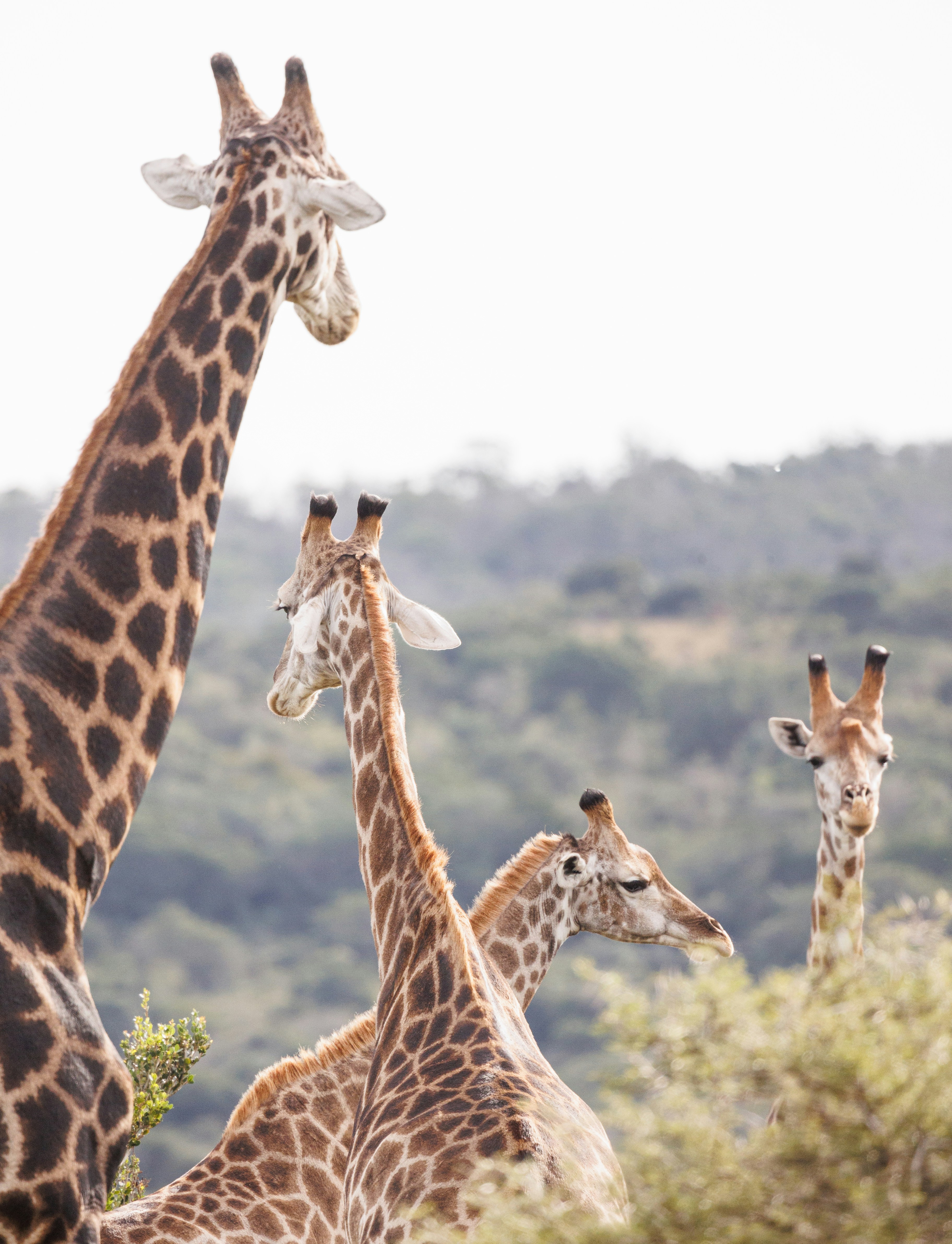 Photo by charl_durand