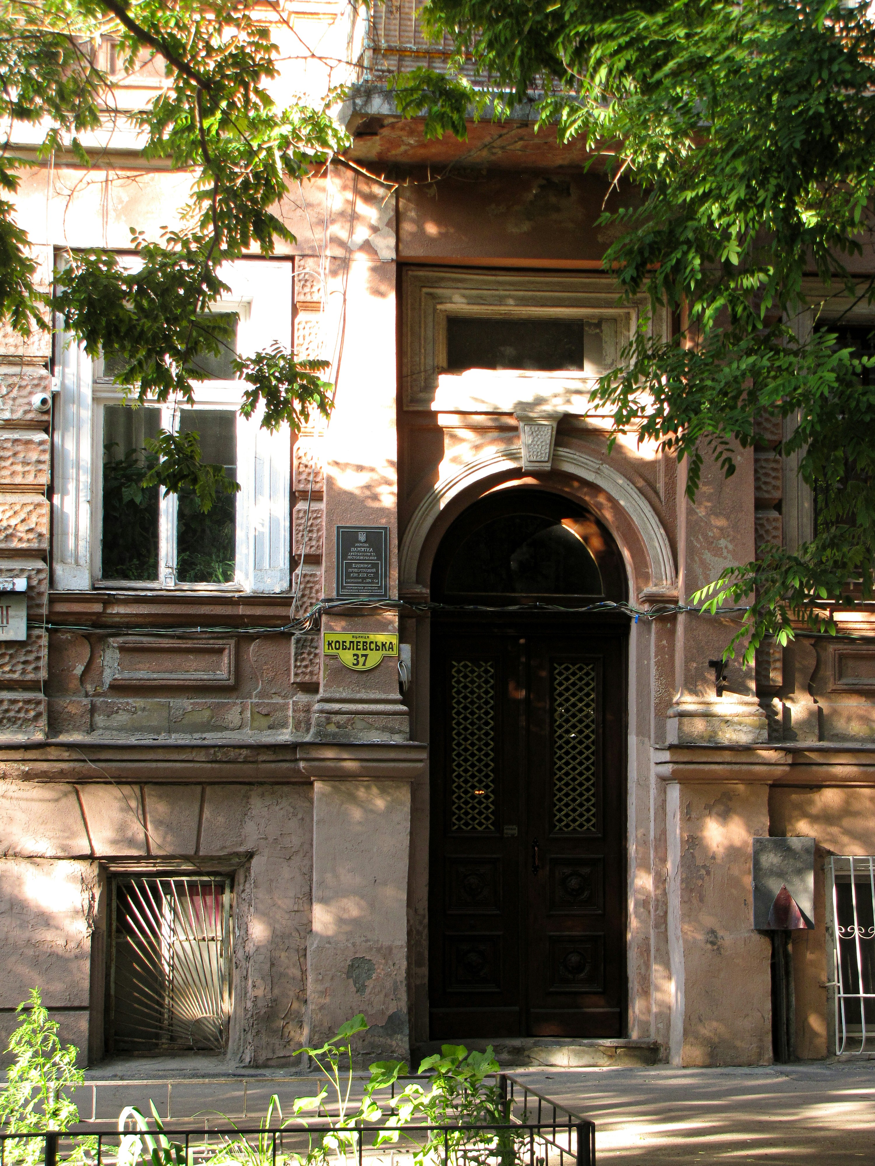 Photo by neolyamoroz