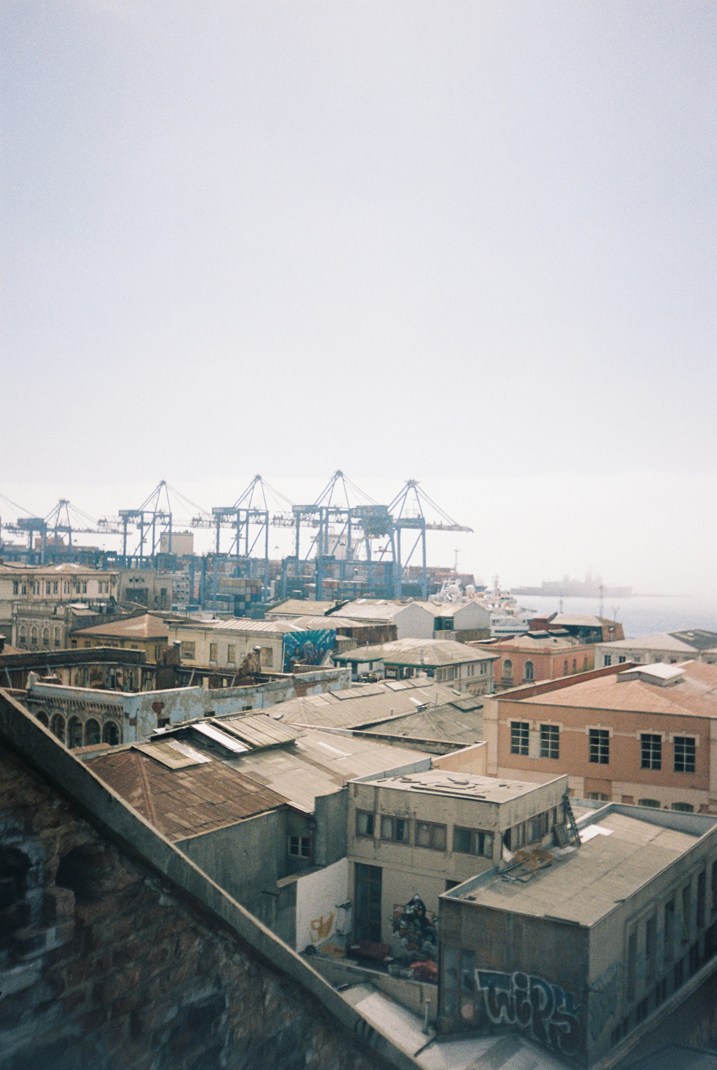 a view of a city with a roller coaster in the background