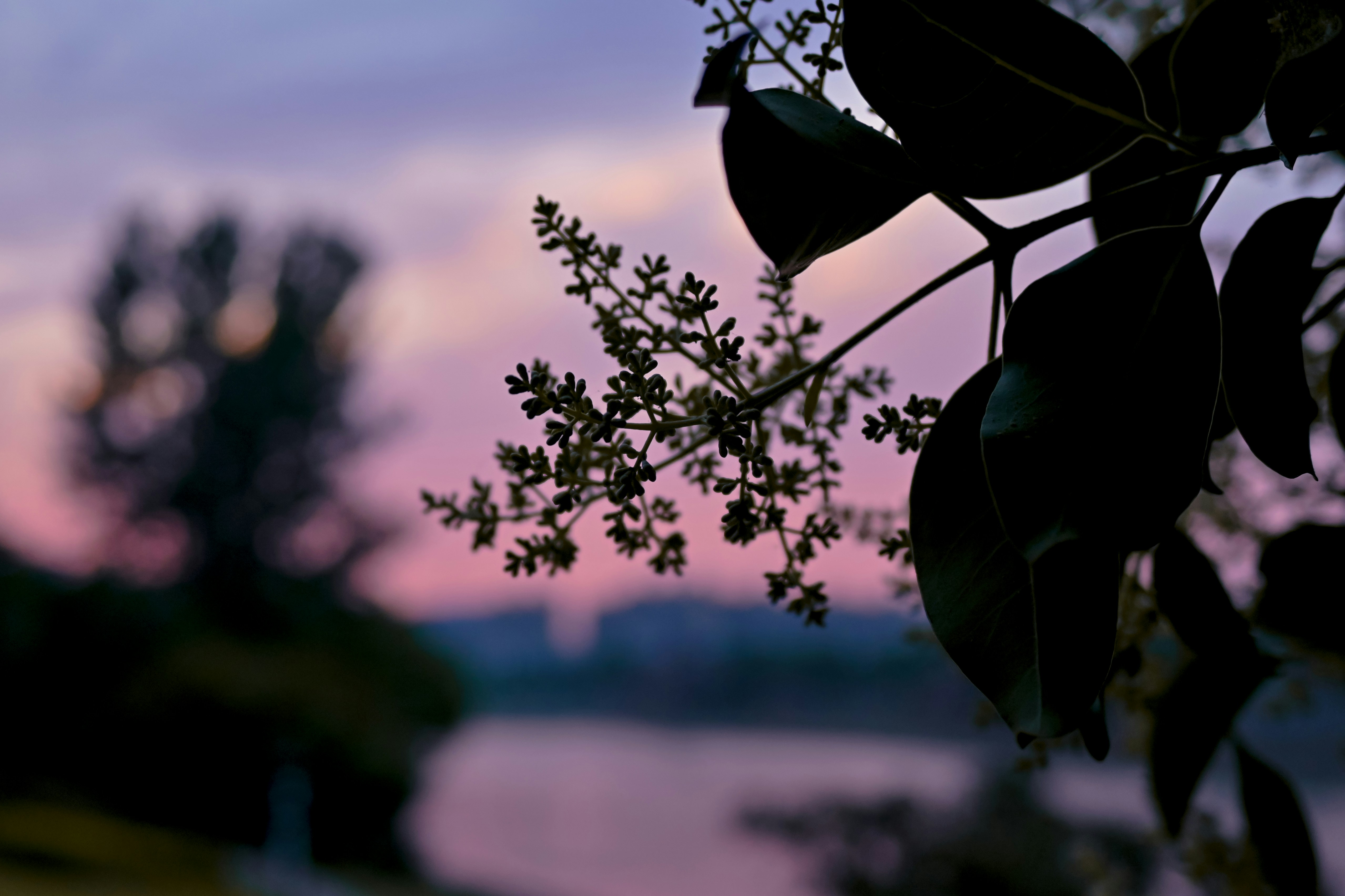 Photo by raidayzhang