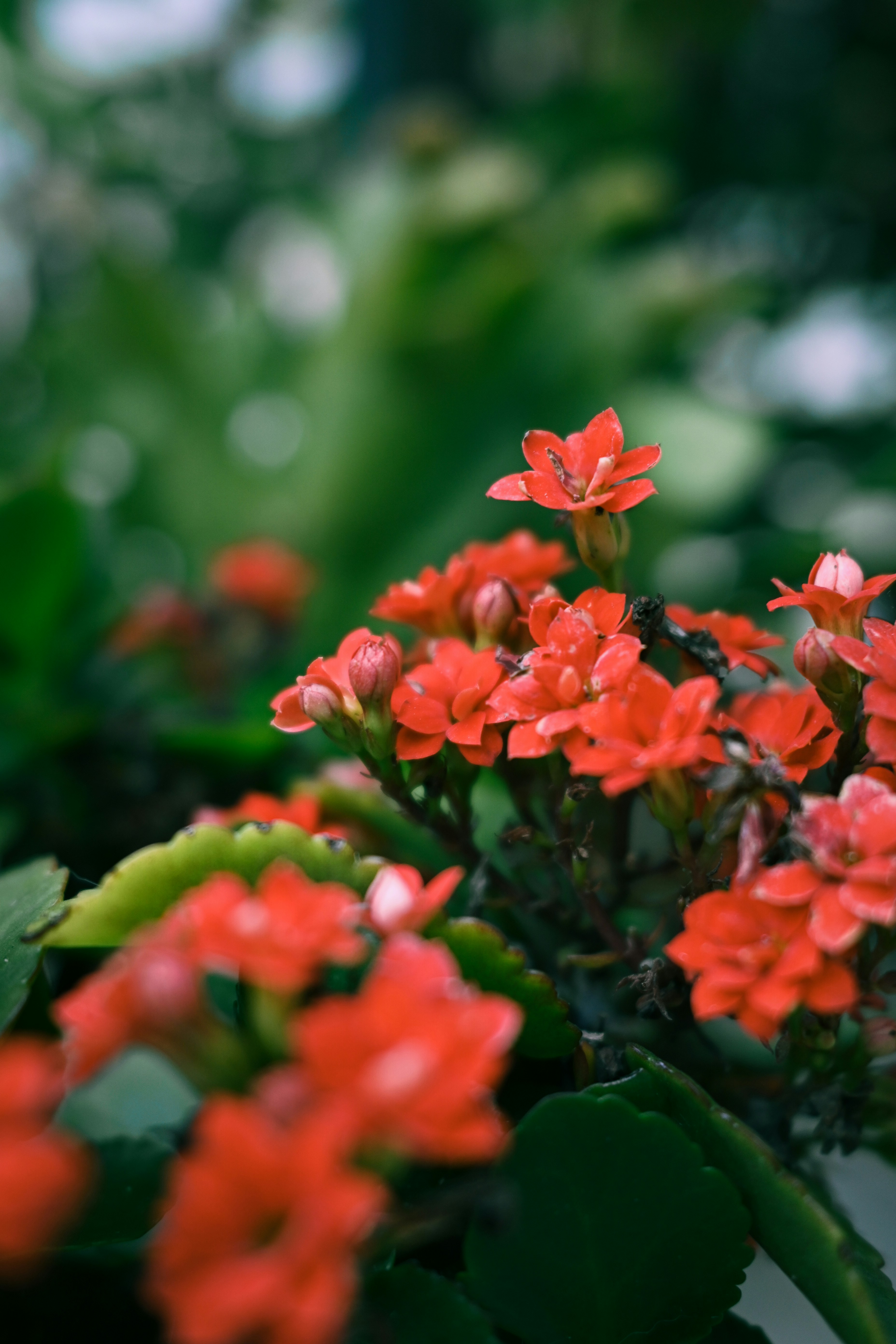 Photo by raidayzhang