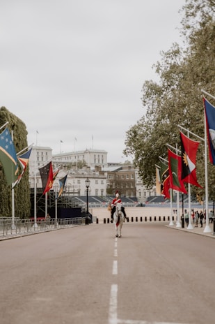 A ceremonial guard on horseback wearing a red uniform is riding down an empty, wide road lined with international flags. Historic buildings surround the area, and there are some trees and people in the distance.