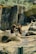 Two brown bears are interacting with each other in a rocky enclosure that includes a shallow water area. The environment is naturalistic, featuring large rocks and some greenery, with a cave-like structure visible in the background.