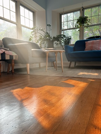 Sunlight streams through large windows, casting warm, bright patterns on a wooden floor. A cozy seating area with multiple chairs and a small table is arranged around a light area rug. Numerous houseplants are placed near the windows, adding a touch of greenery.