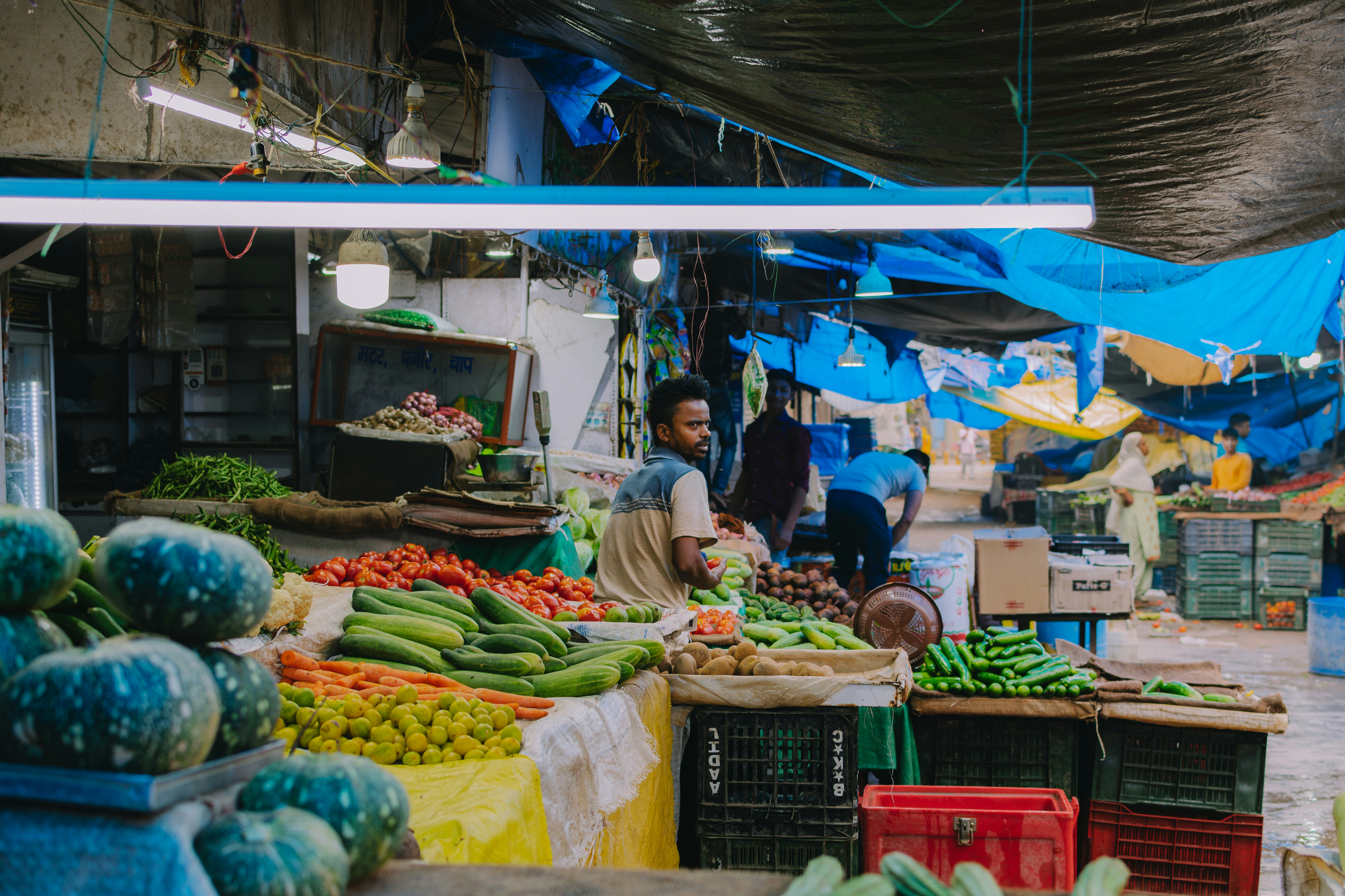 Photo by pramodtiwari