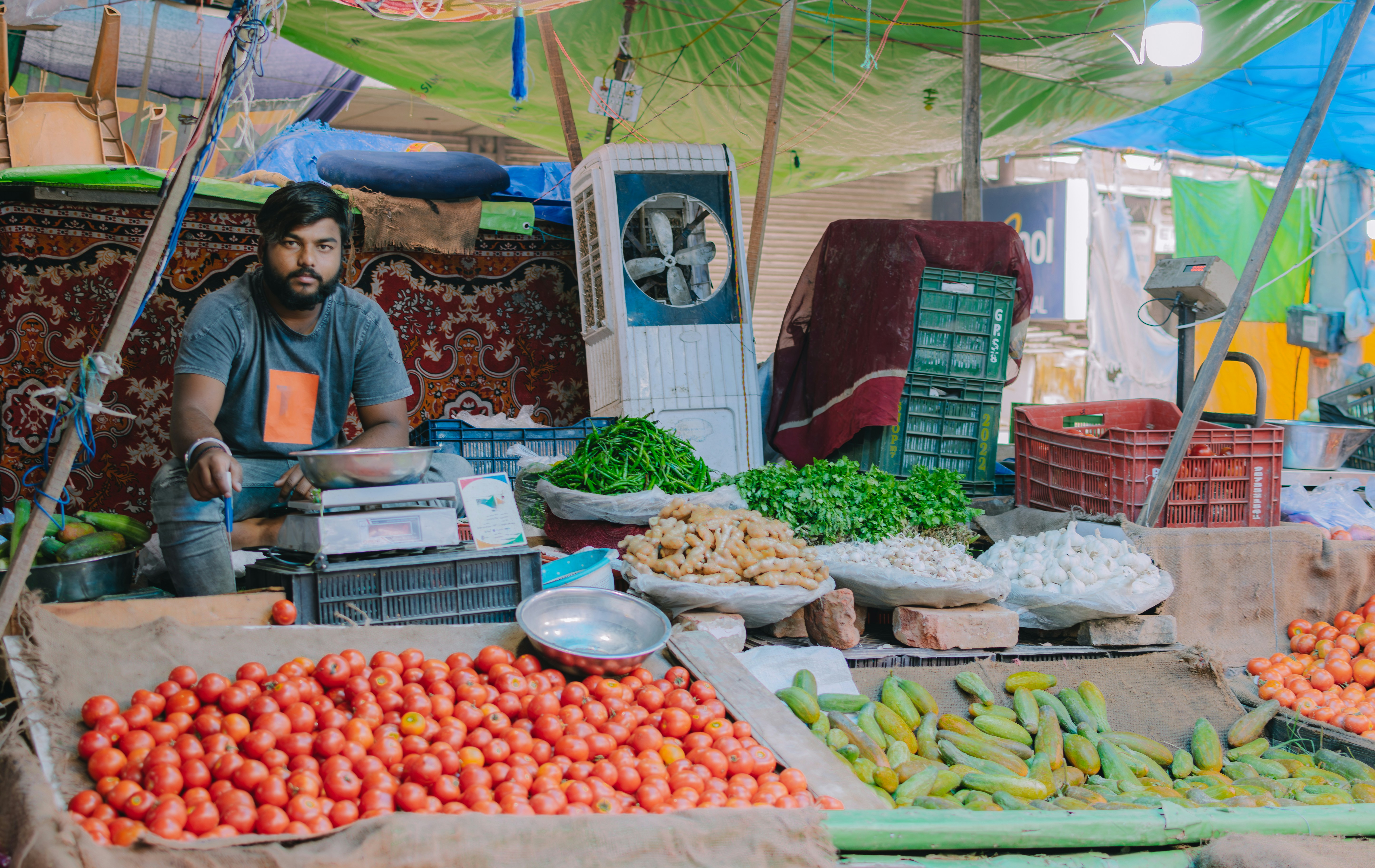 Photo by pramodtiwari