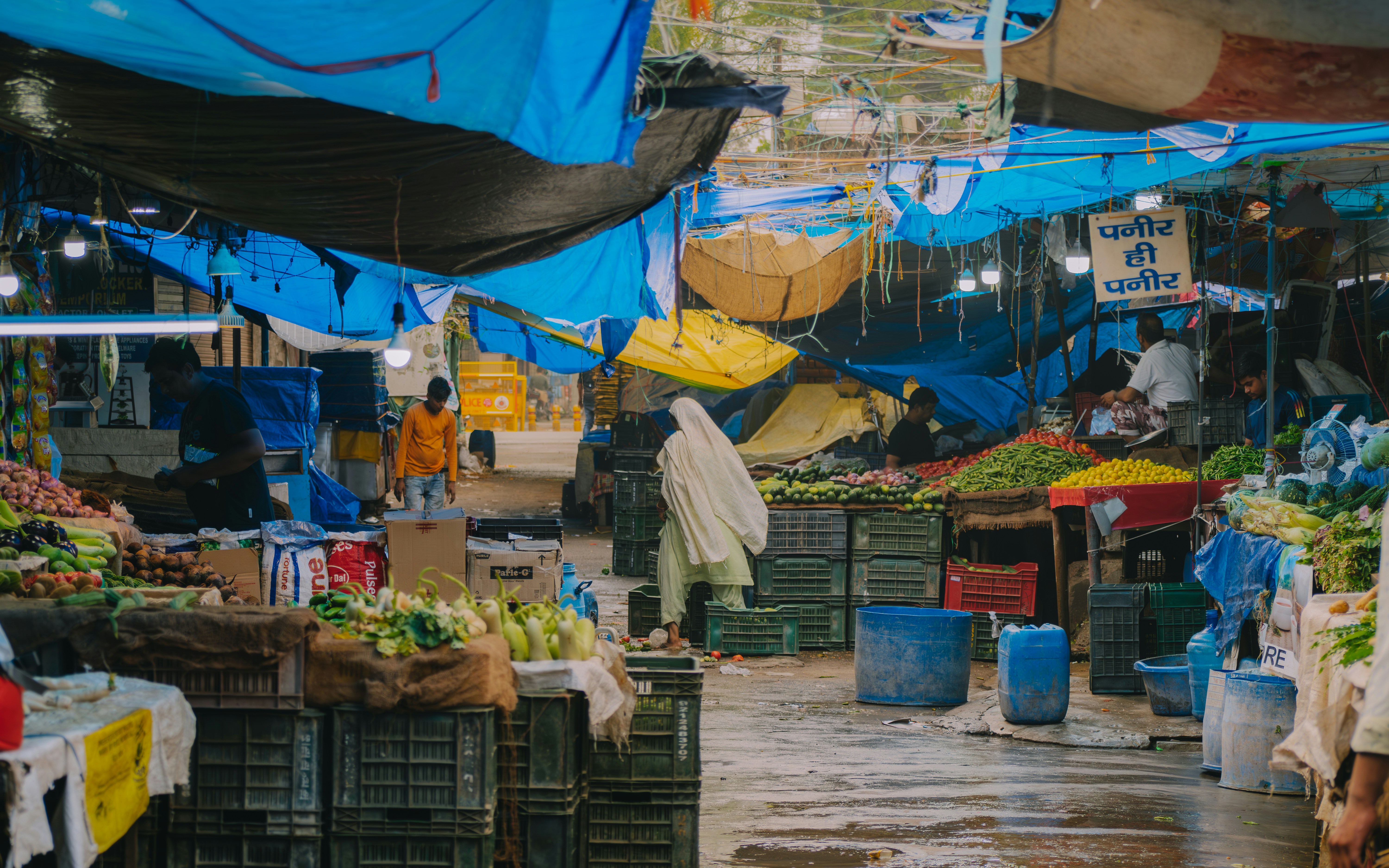 Photo by pramodtiwari