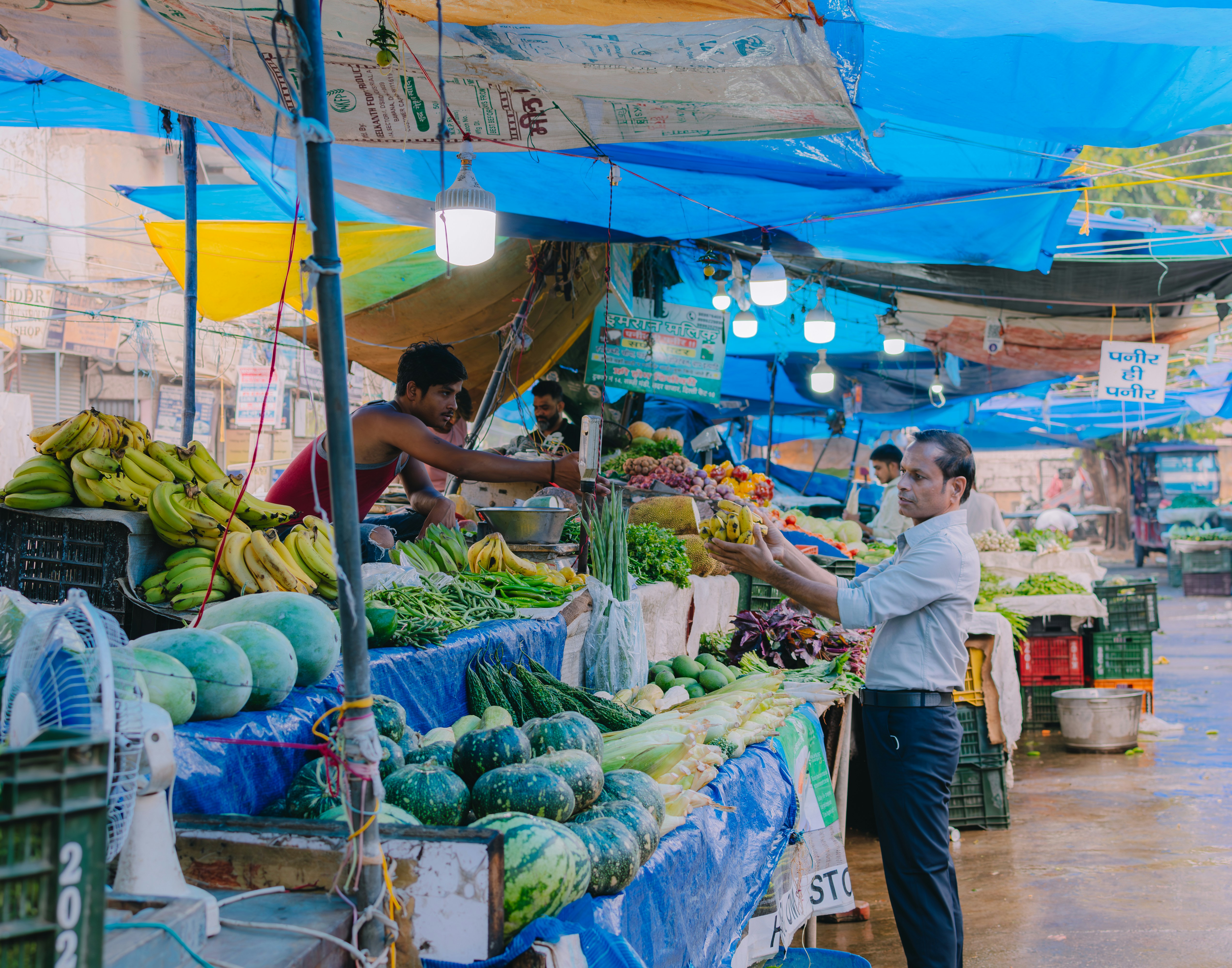 Photo by pramodtiwari