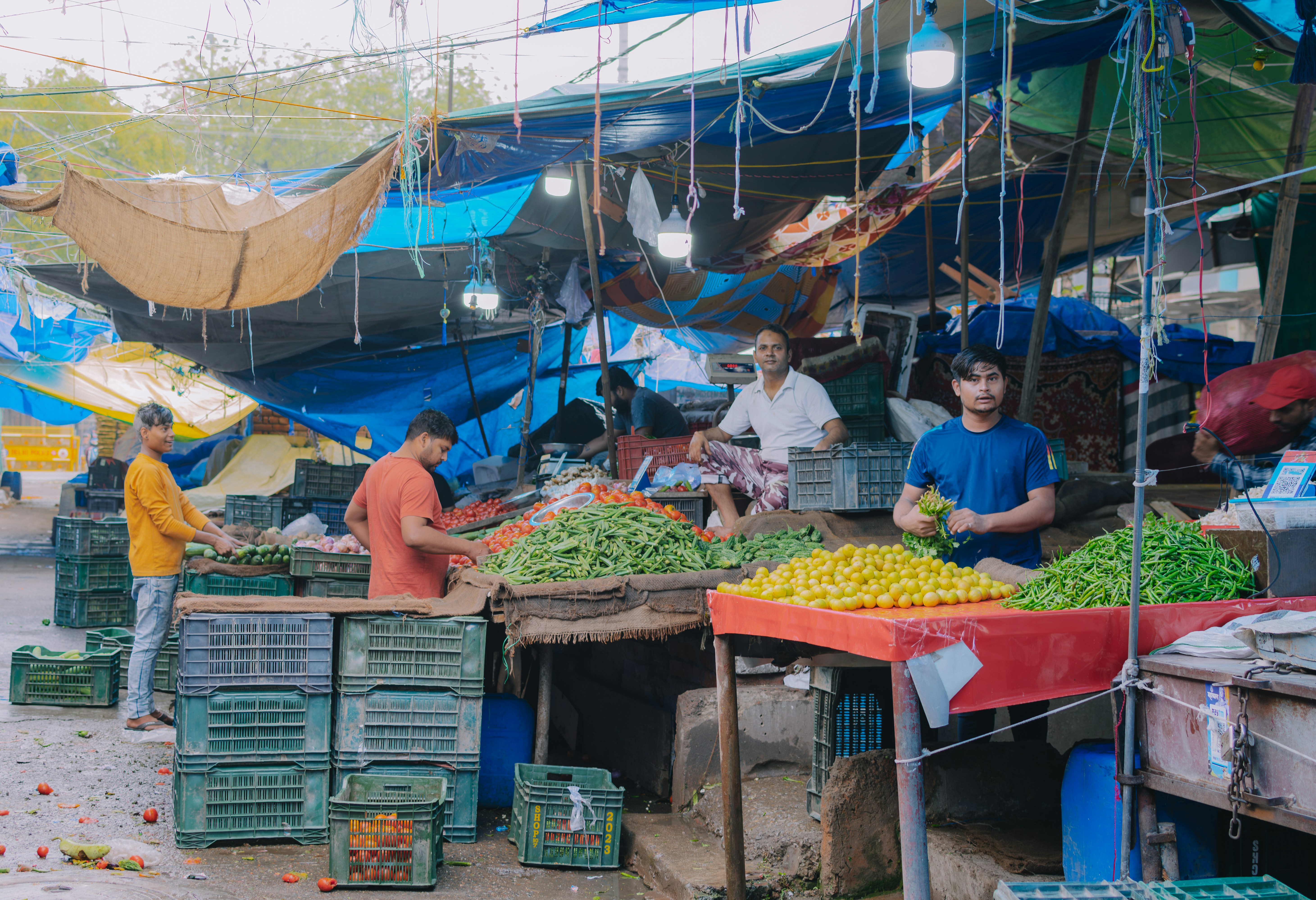 Photo by pramodtiwari