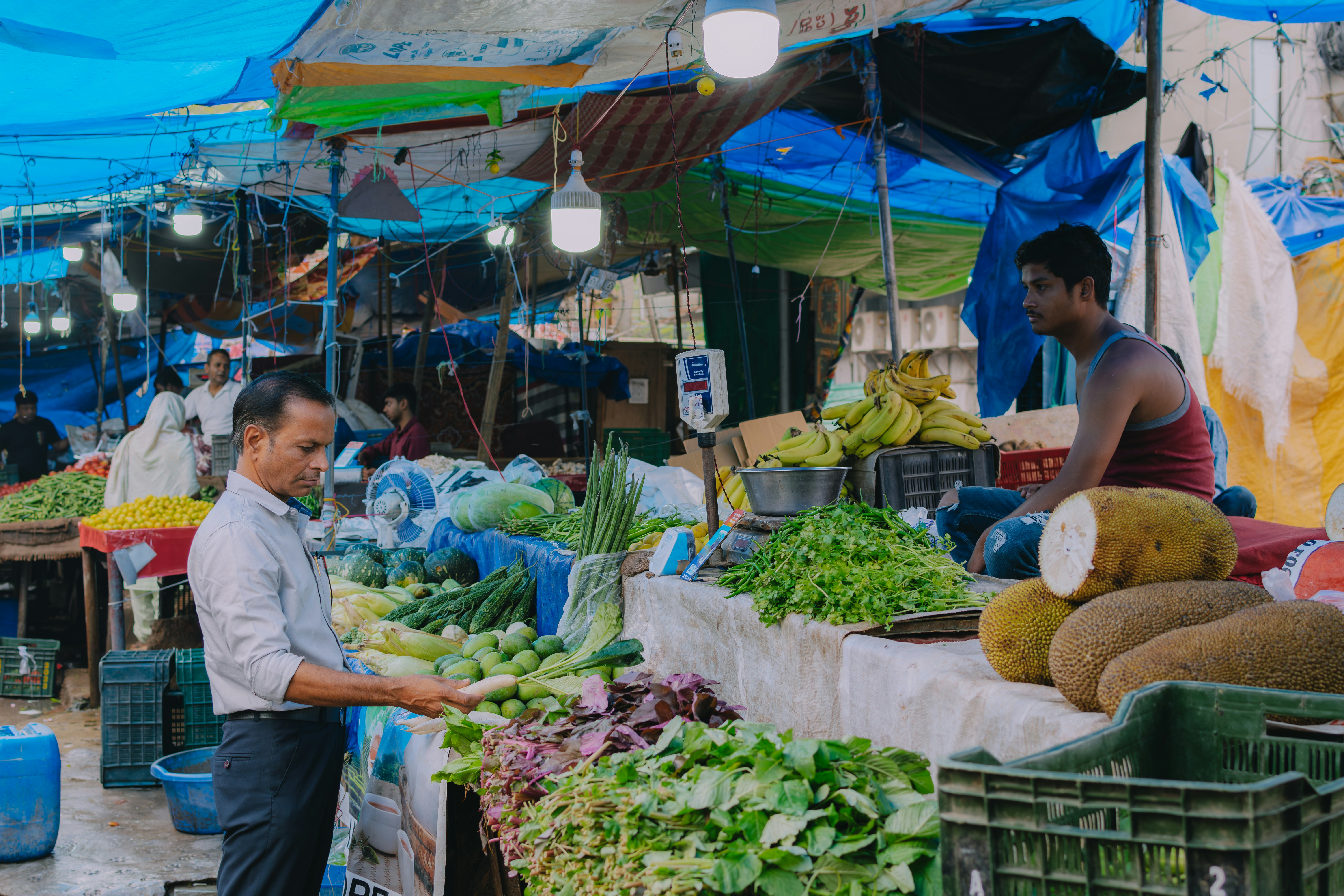 Photo by pramodtiwari