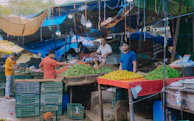 A colorful market scene bustling with people and fresh produce under bright awnings.