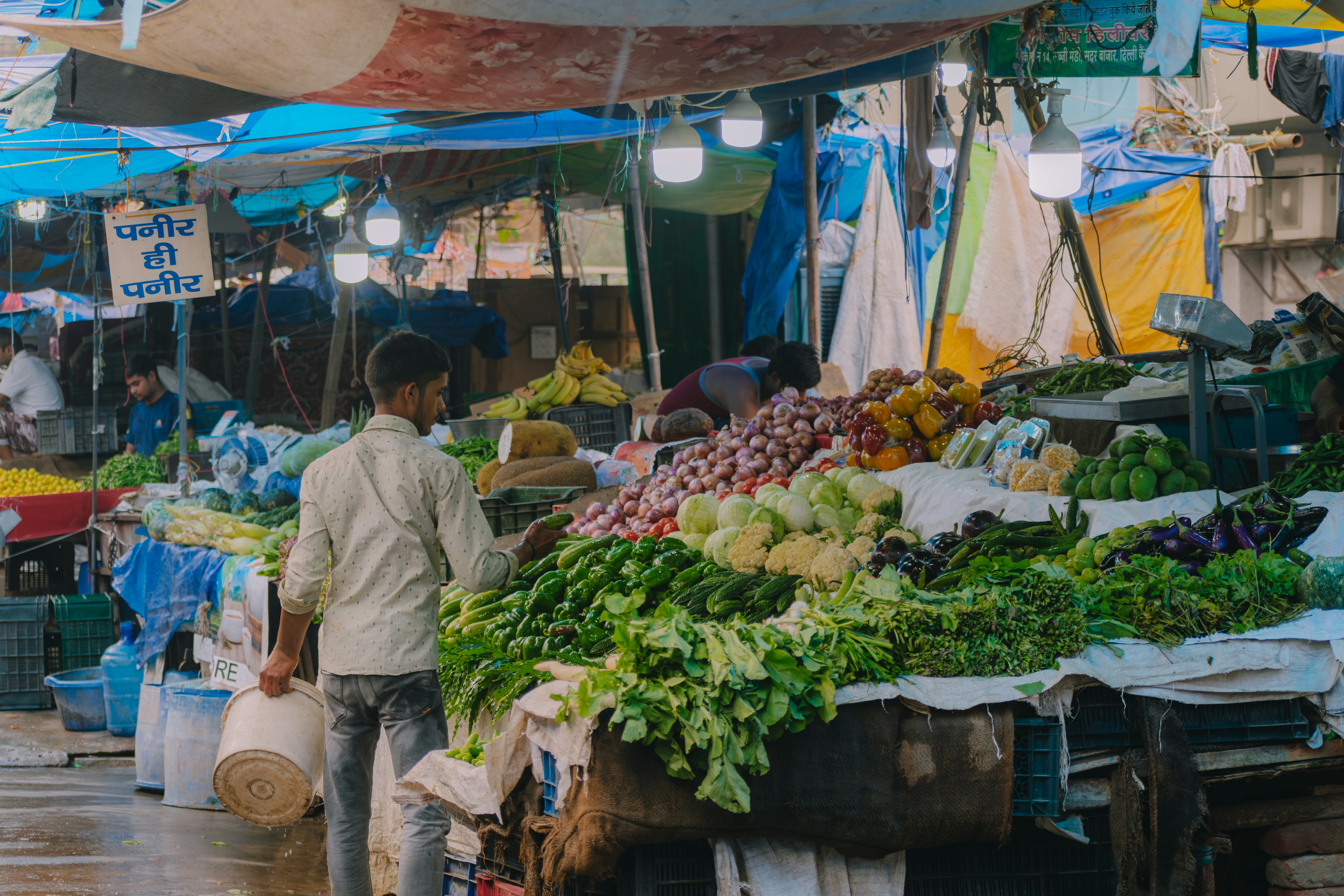 Photo by pramodtiwari