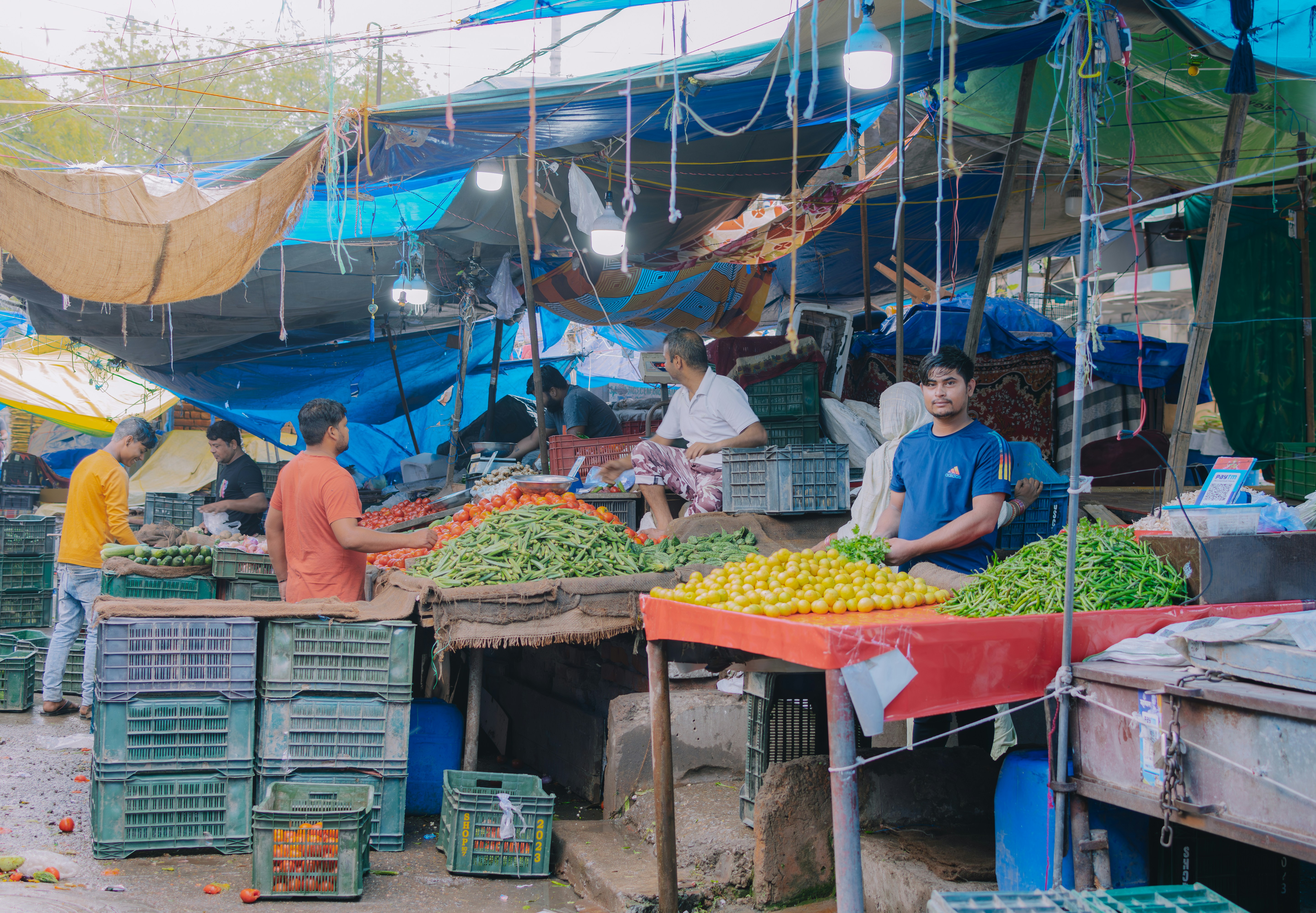 Photo by pramodtiwari