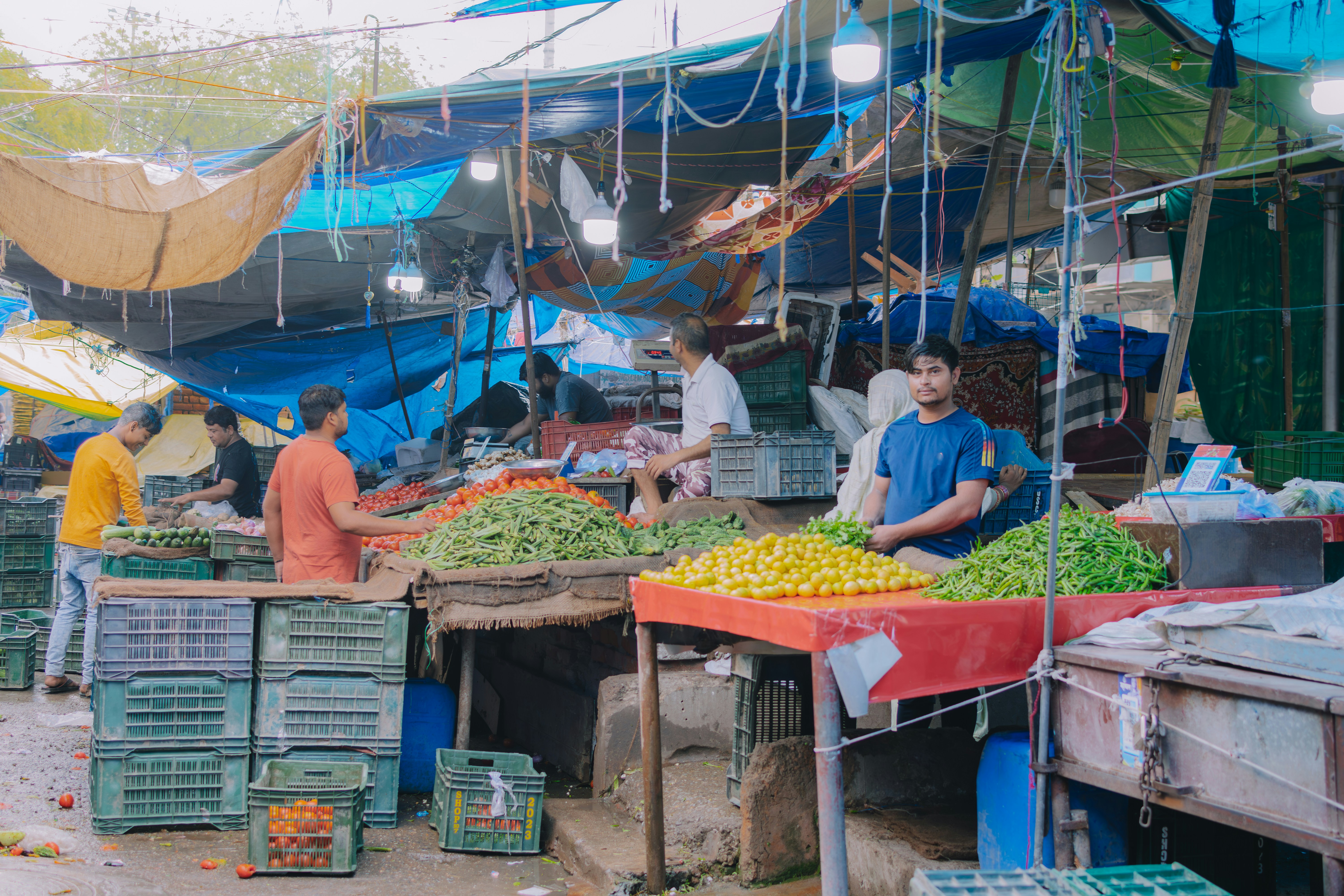 Photo by pramodtiwari