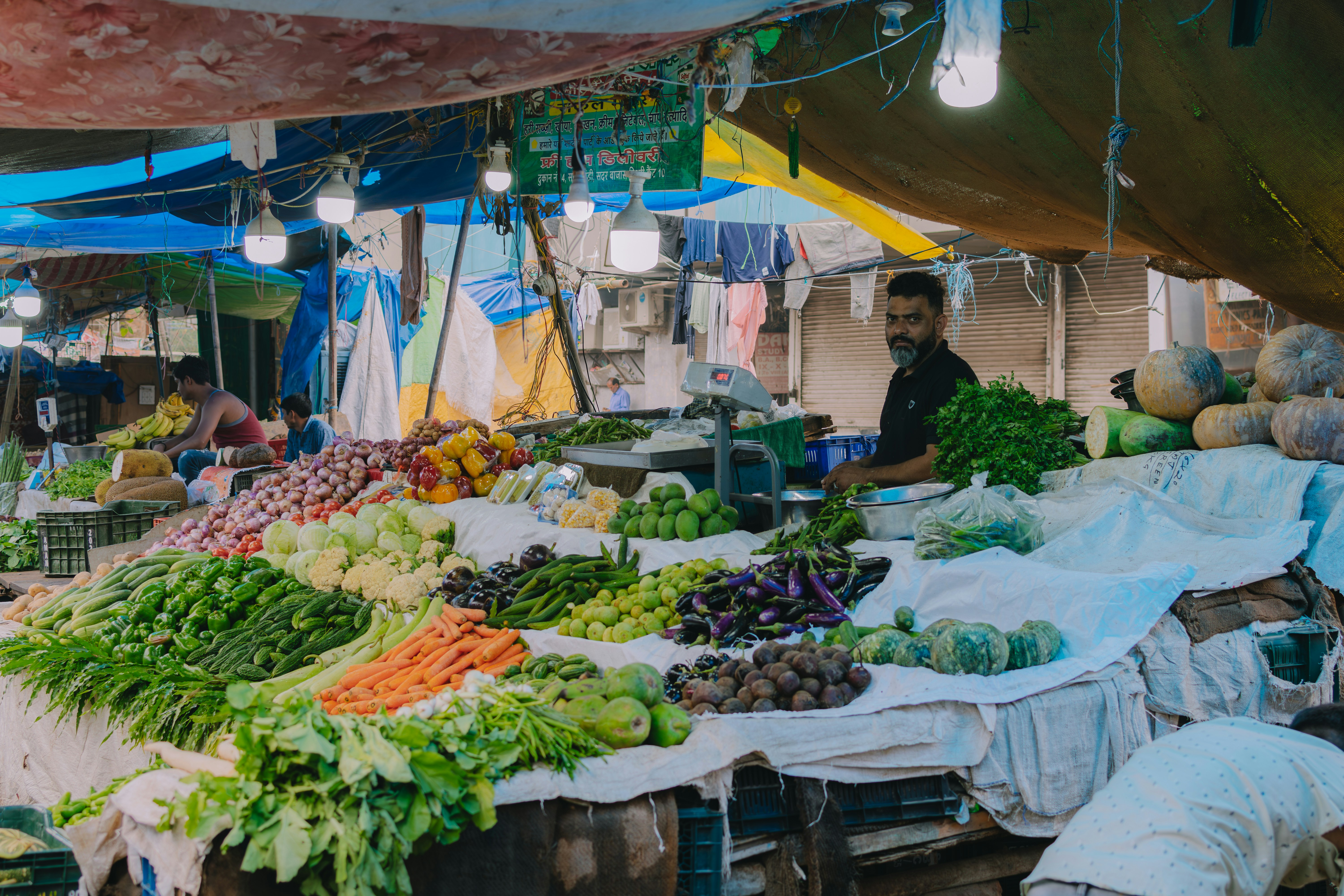 Photo by pramodtiwari