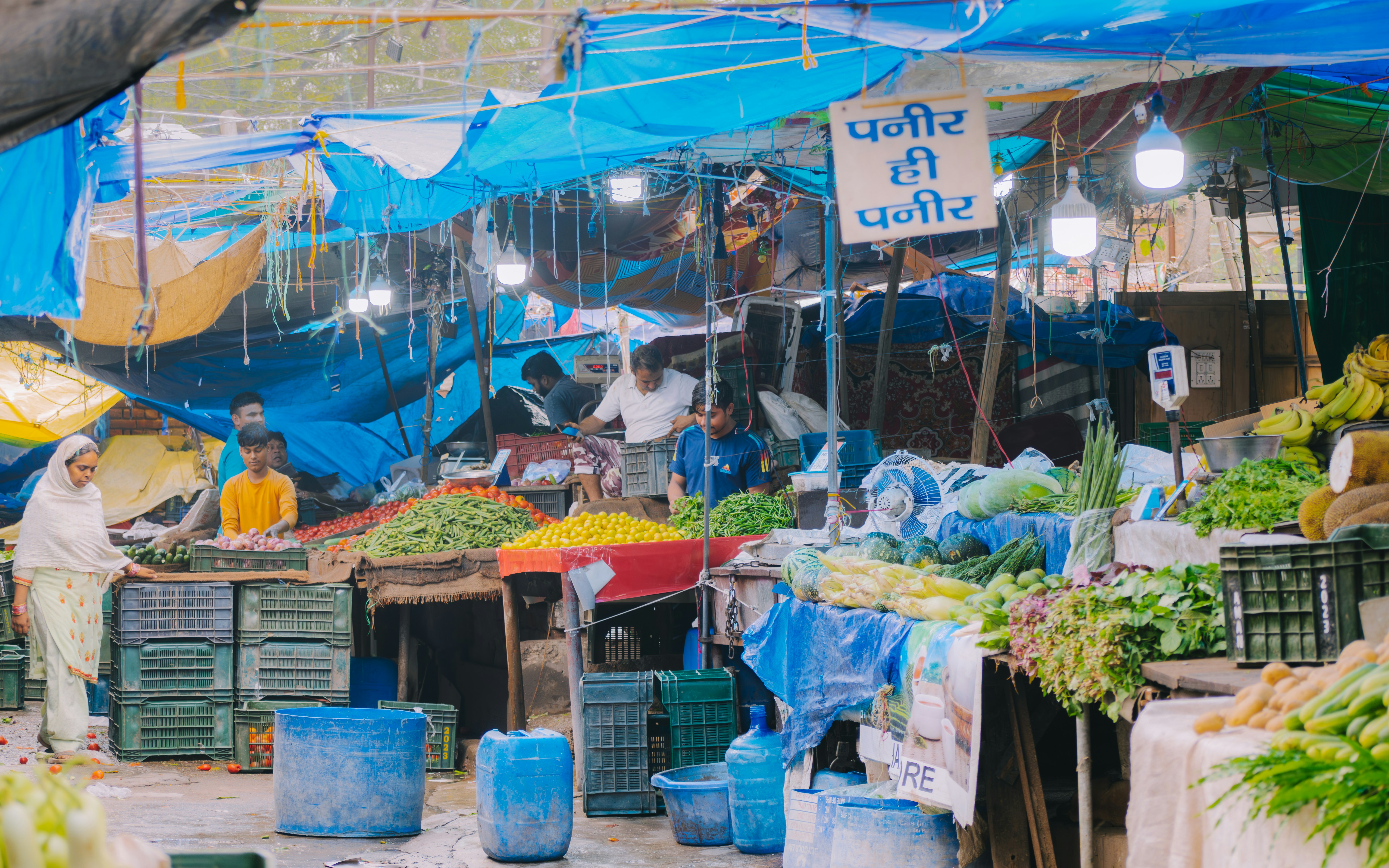 Photo by pramodtiwari