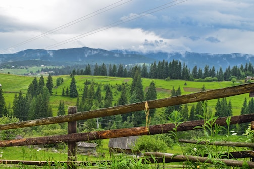 a wooden fence in front of a lush green hillside