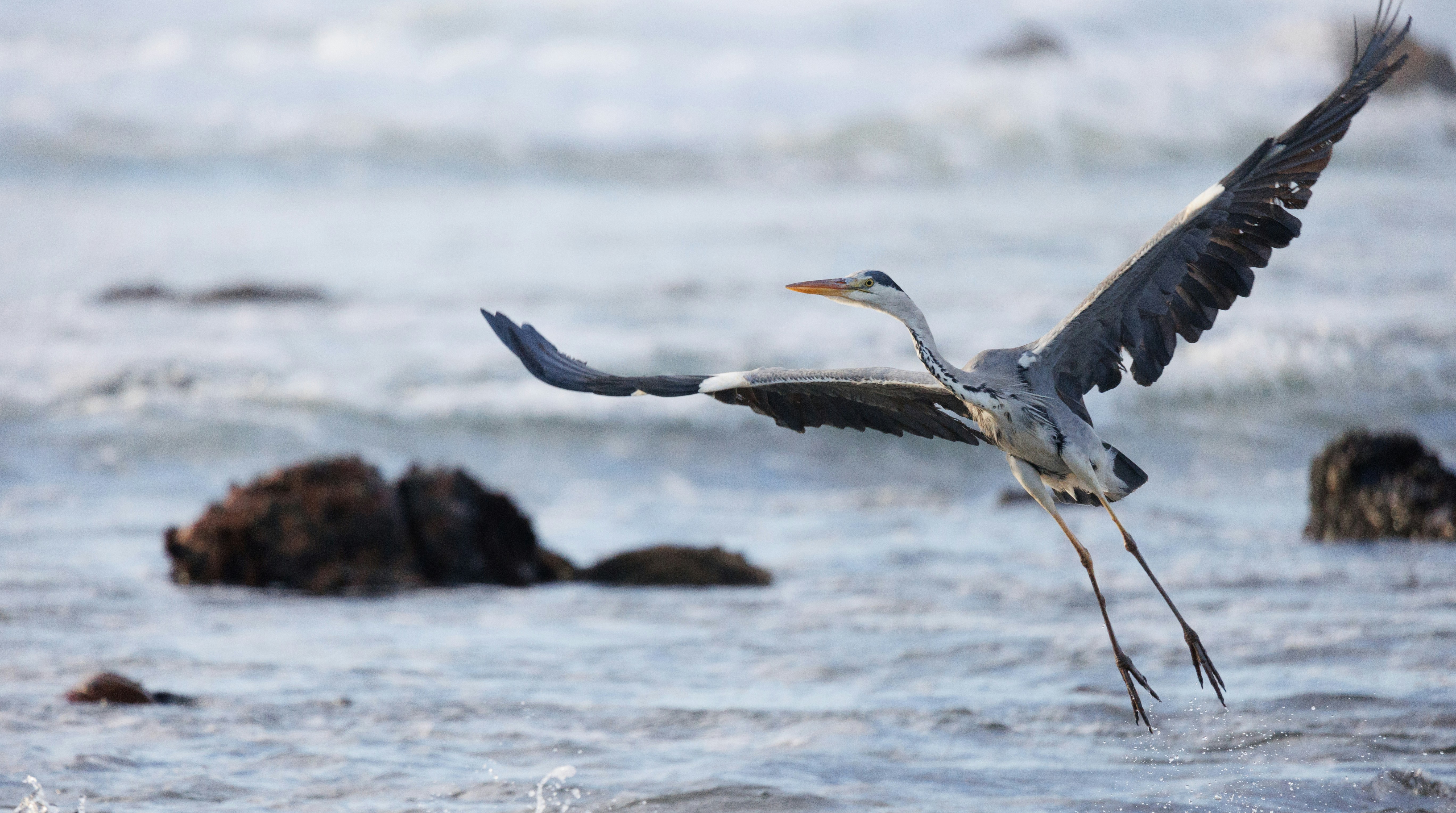 Photo by charl_durand