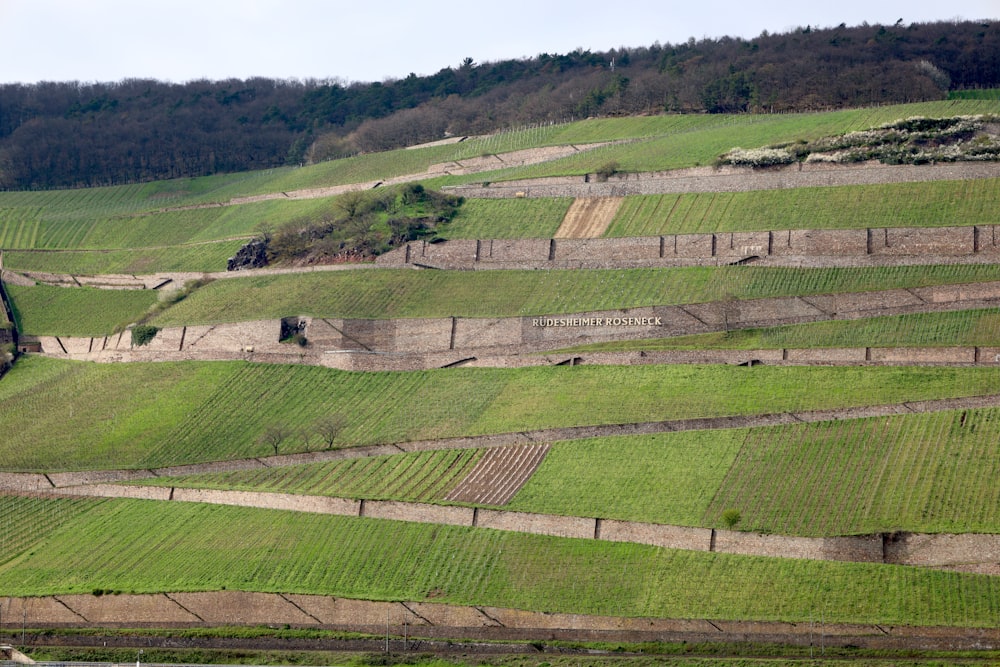 a large field of green grass next to a hillside