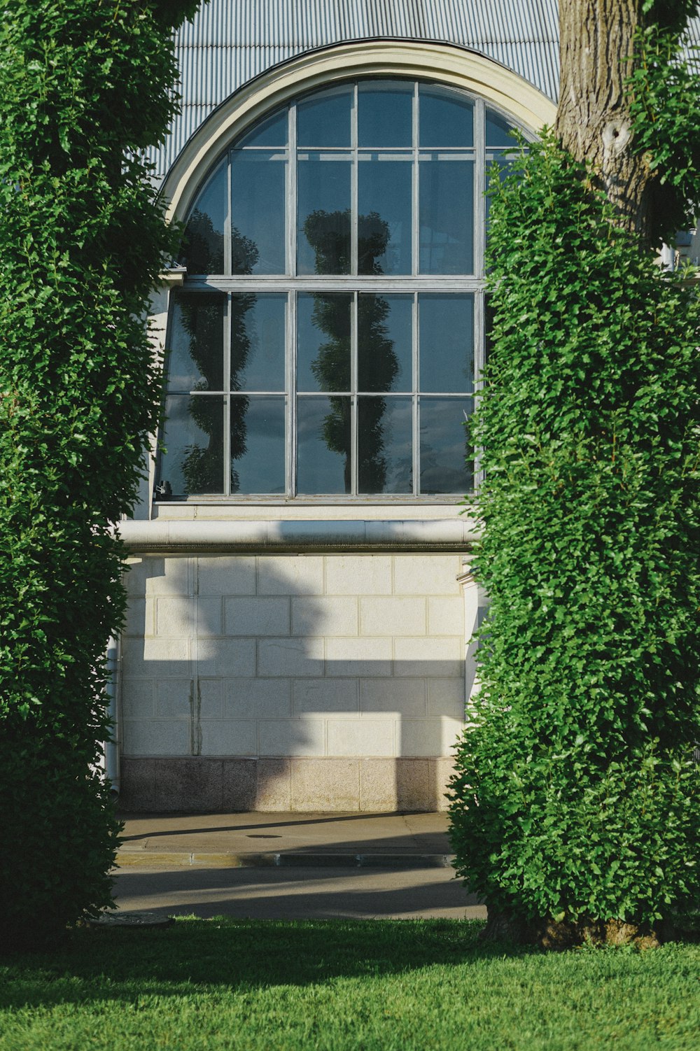 a building with a large arched window surrounded by trees