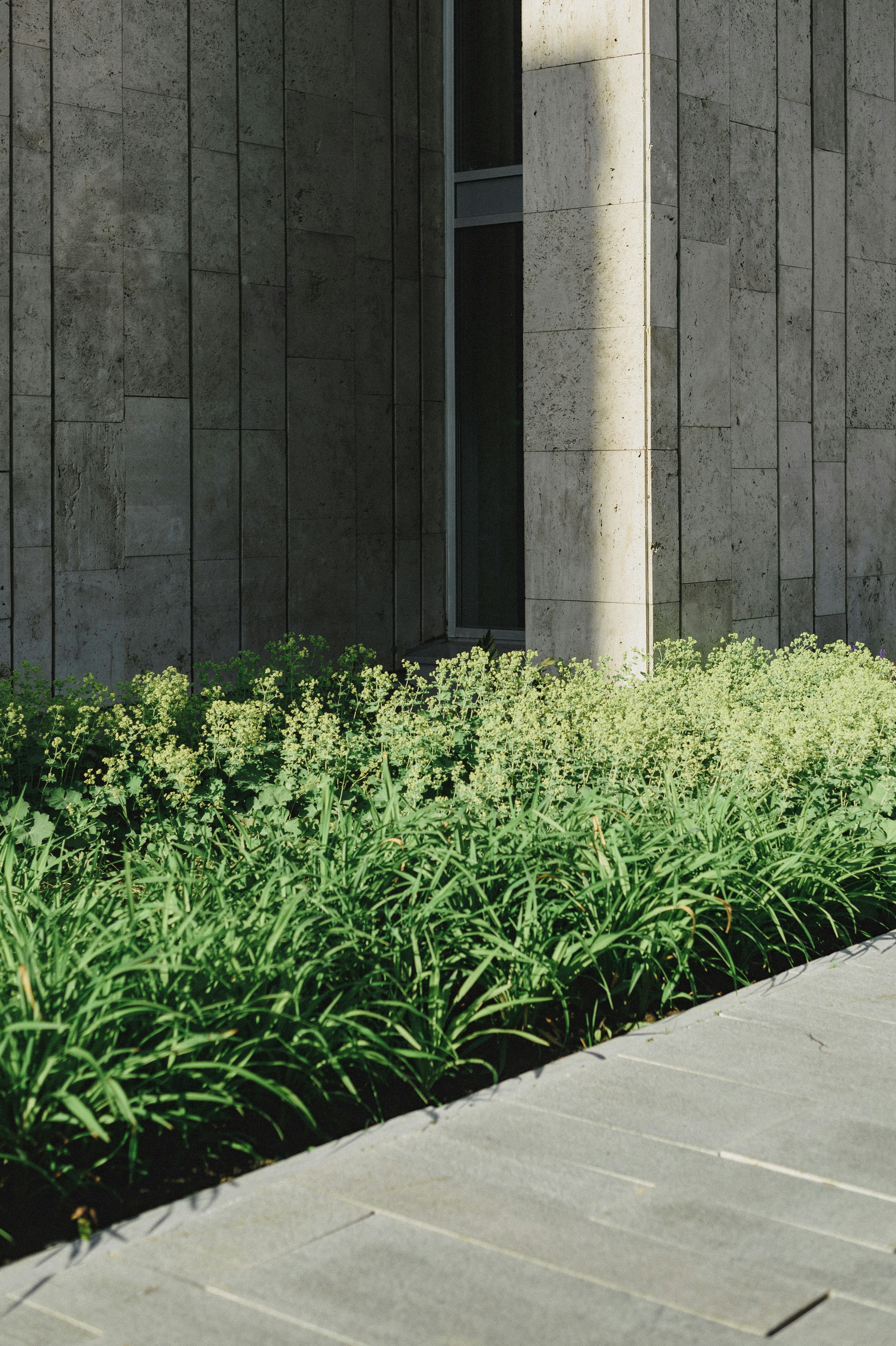 Photo by vonshnauzer