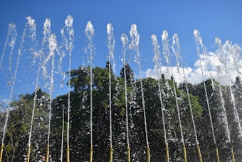 A series of water jets are shooting upwards against a backdrop of lush green trees and a clear blue sky. The water streams are well defined and appear to be in motion, catching the sunlight to create sparkling effects.