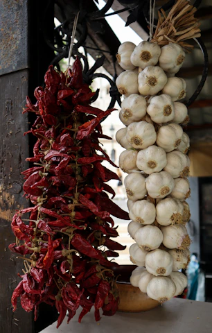 A vibrant bunch of garlic bulbs and red chili peppers freshly harvested and laid out.