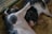 Two pigs lying on a bed of wood shavings within a pen. They appear relaxed and are positioned closely together, with one pig resting its head on the other's body. The pigs have black and white markings on their skin.