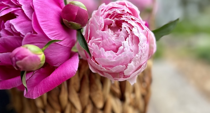 a basket filled with pink flowers sitting on top of a wooden table