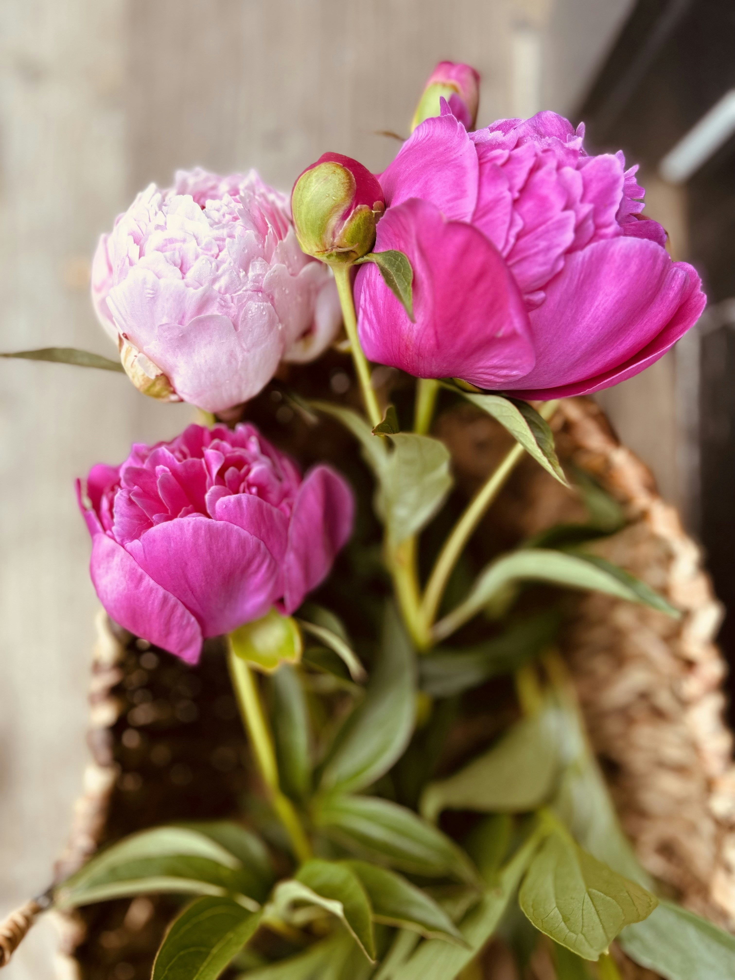 Photo by willowleigh