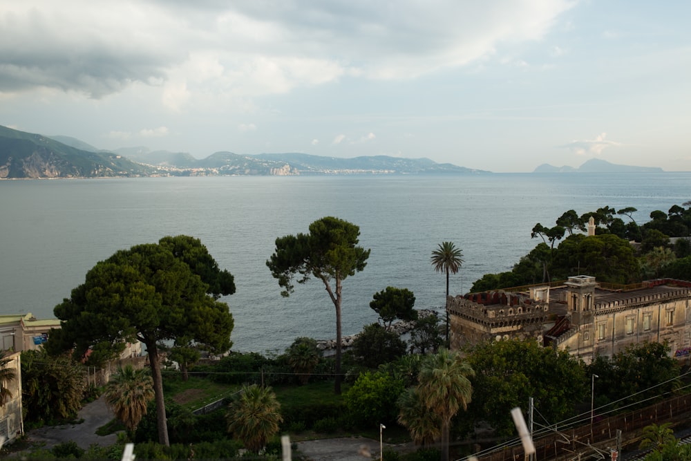 a large body of water surrounded by trees