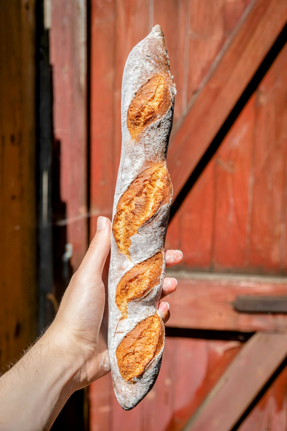 uma pessoa segurando um pedaço de pão na mão