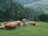 Several colorful tents with ethnic patterns are set up on a grassy area surrounded by lush green mountains. People are walking around the tents, some with umbrellas. The background consists of dense forests and distant rolling hills with scattered villages.