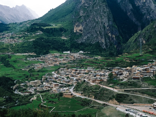 A scenic view of Doma village showcasing its lush greenery and traditional houses.