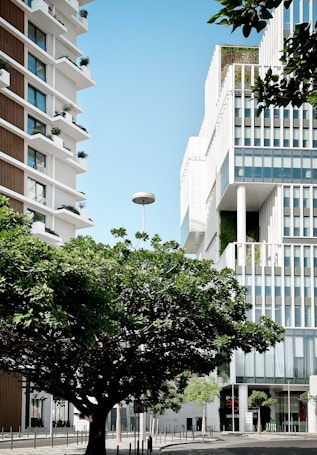 Modern high-rise buildings with architecture featuring glass facades and greenery on balconies. A large tree with dense leaves is in the foreground, with blue skies above. The setting appears to be urban, with streetlights and paved pathways.