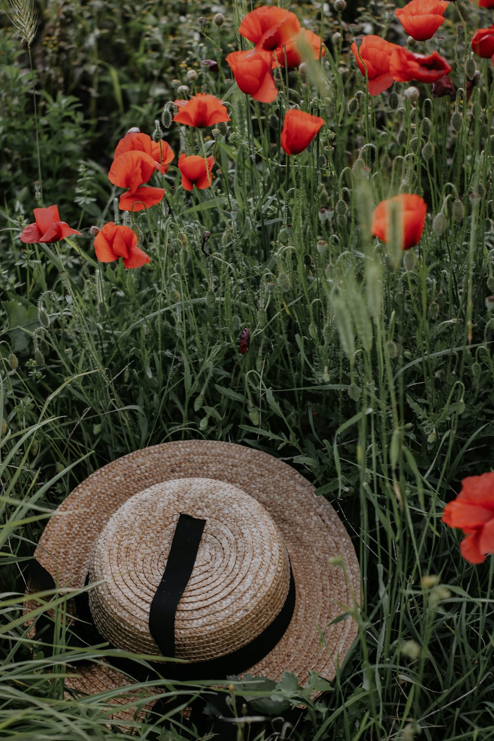 a straw hat sitting in the middle of a field of flowers
