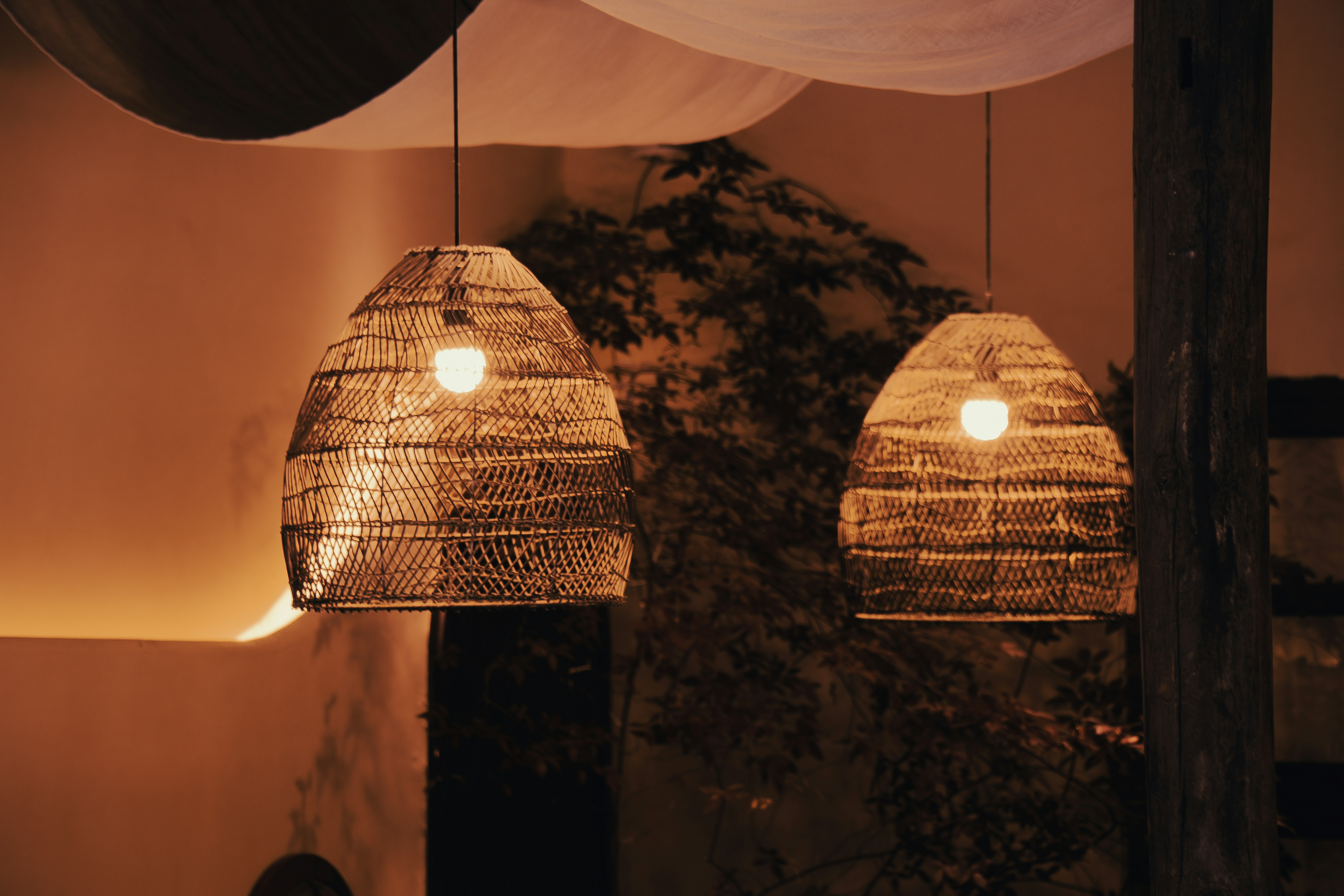 Photo by douglasalan