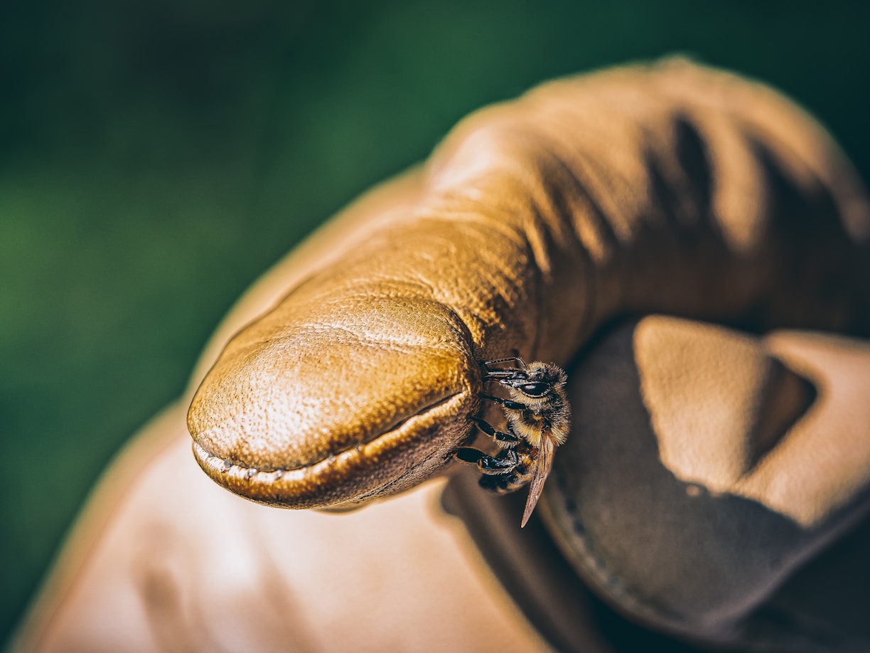 a close up of a person's arm with a bug on it