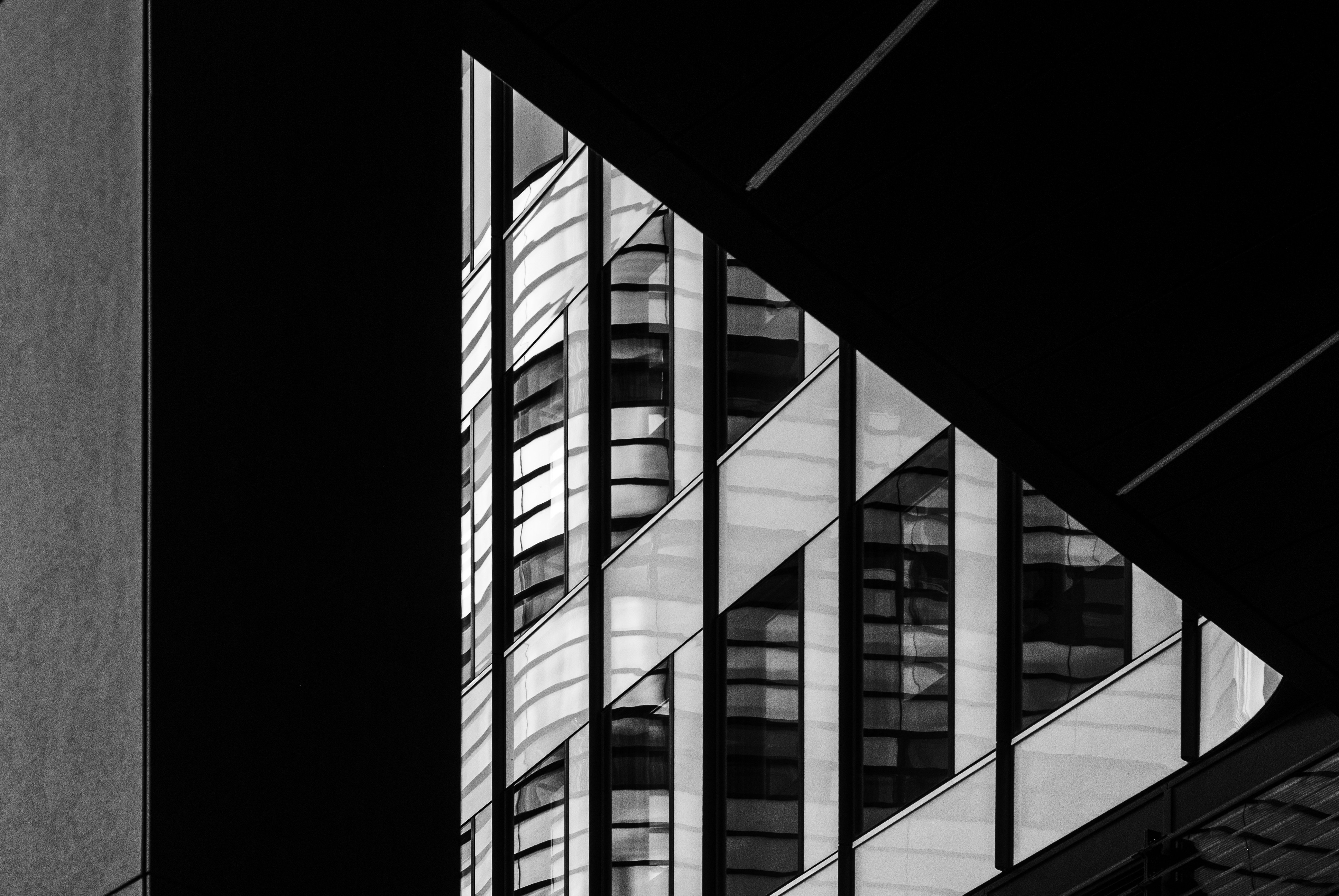 Photo by milyniemily