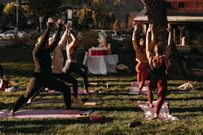 An engaging image of a group yoga session in nature.