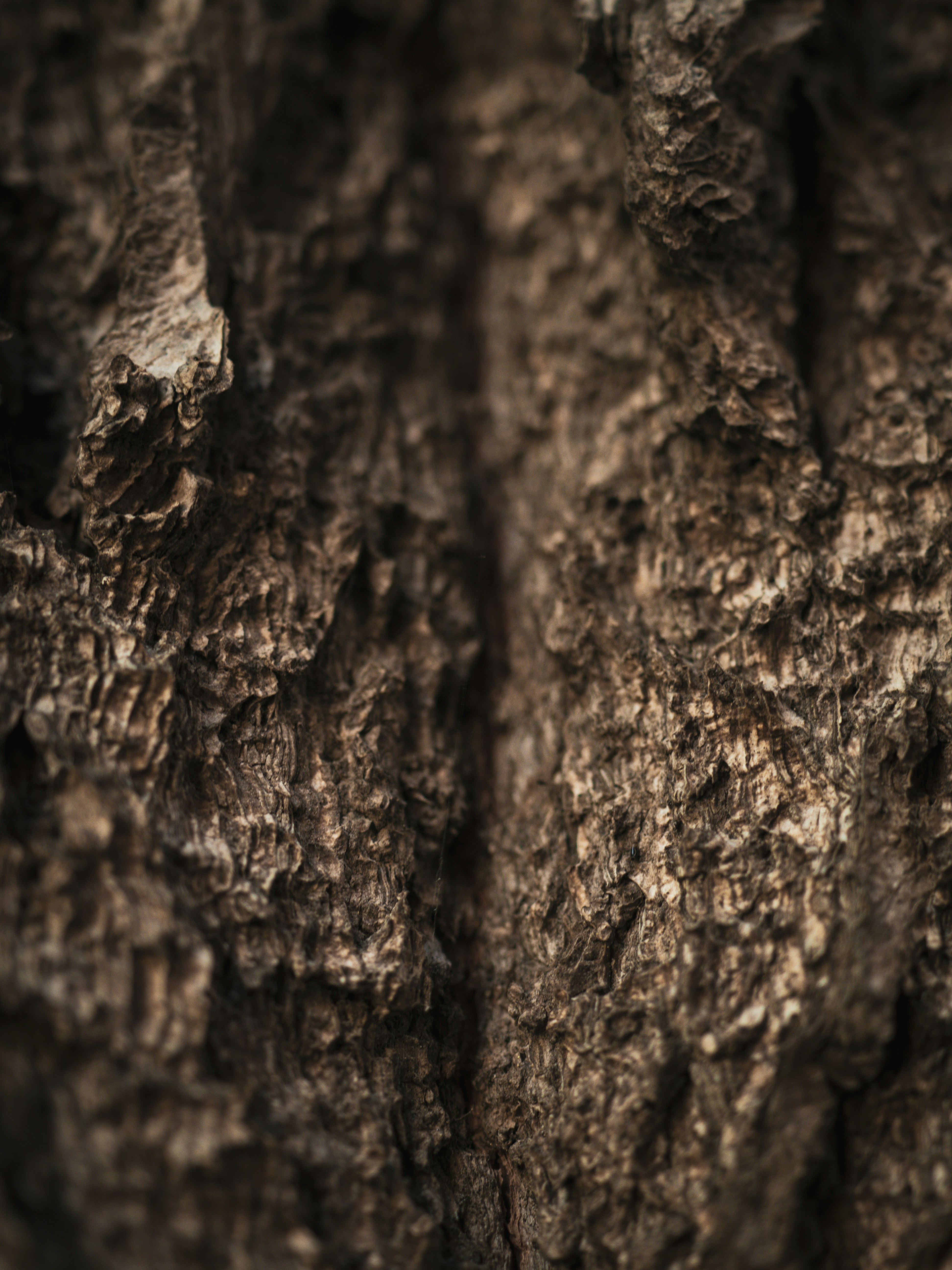 リビング改装後の様子